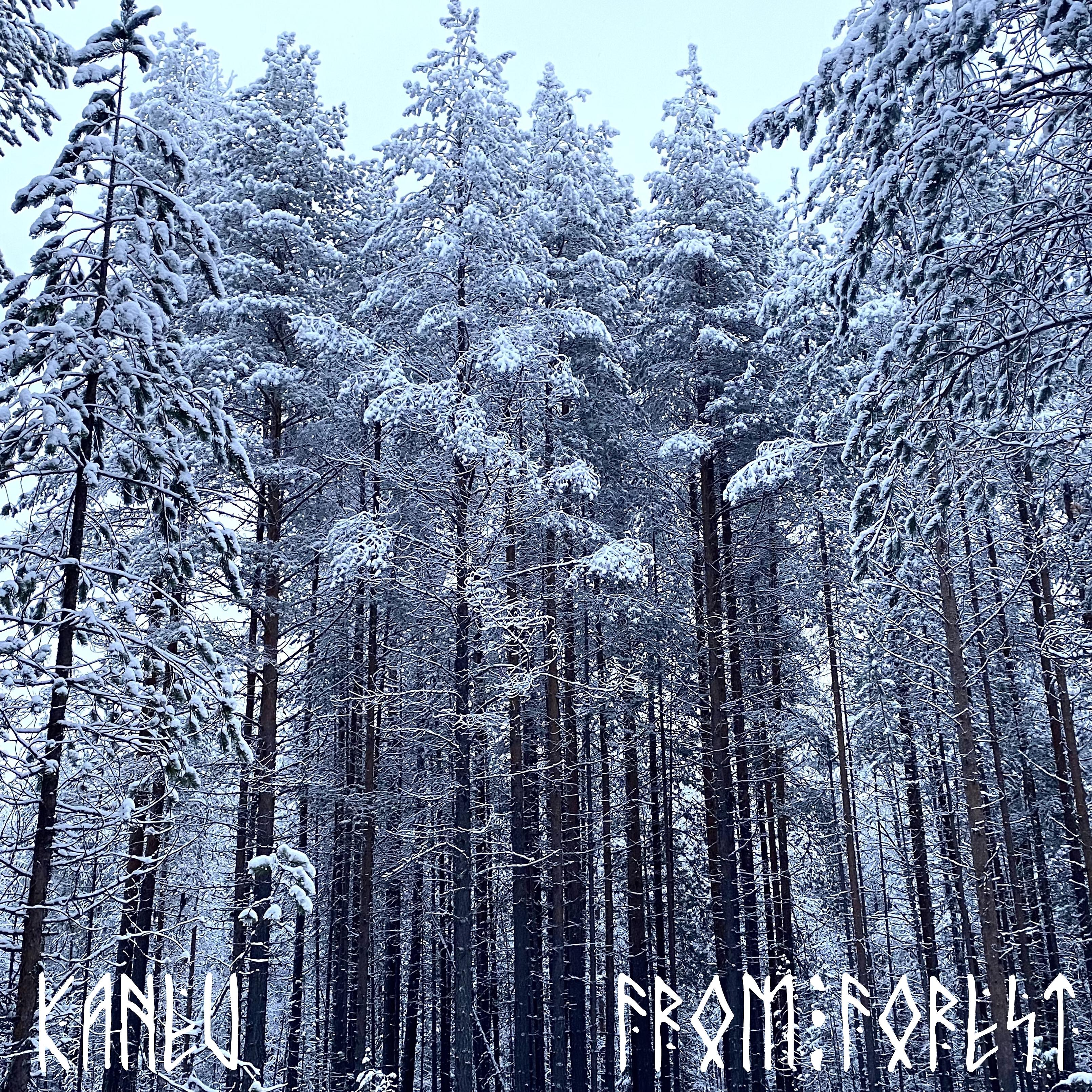 Релиз From Forest