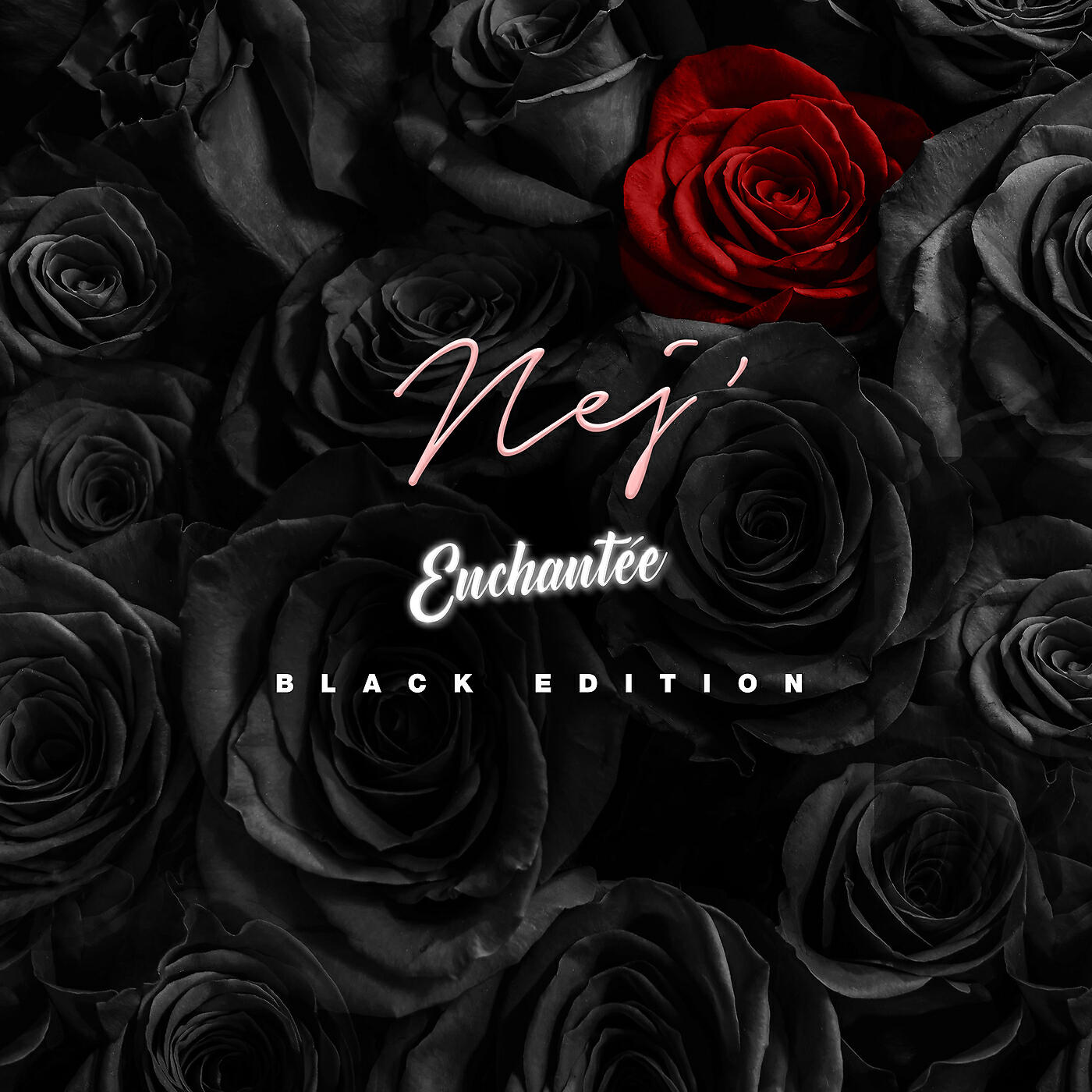 Релиз Enchantée (Black Edition)