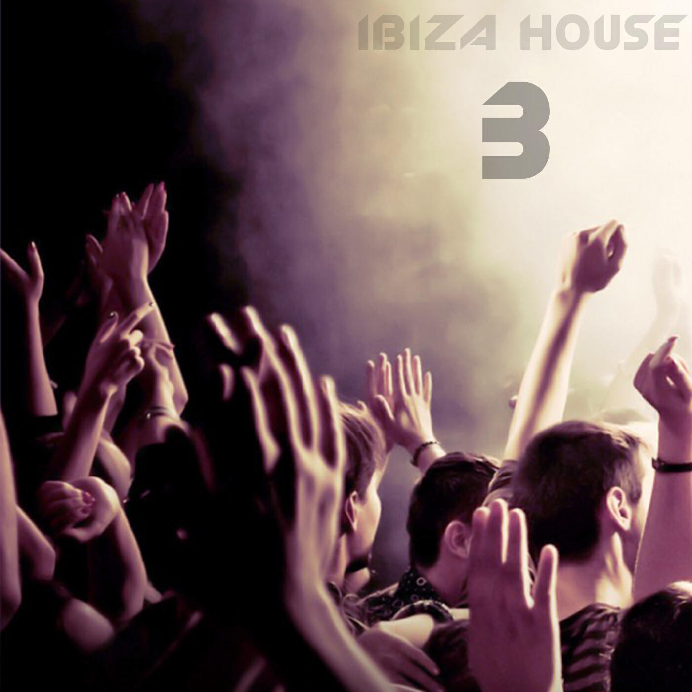 Релиз Ibiza House, Vol 3
