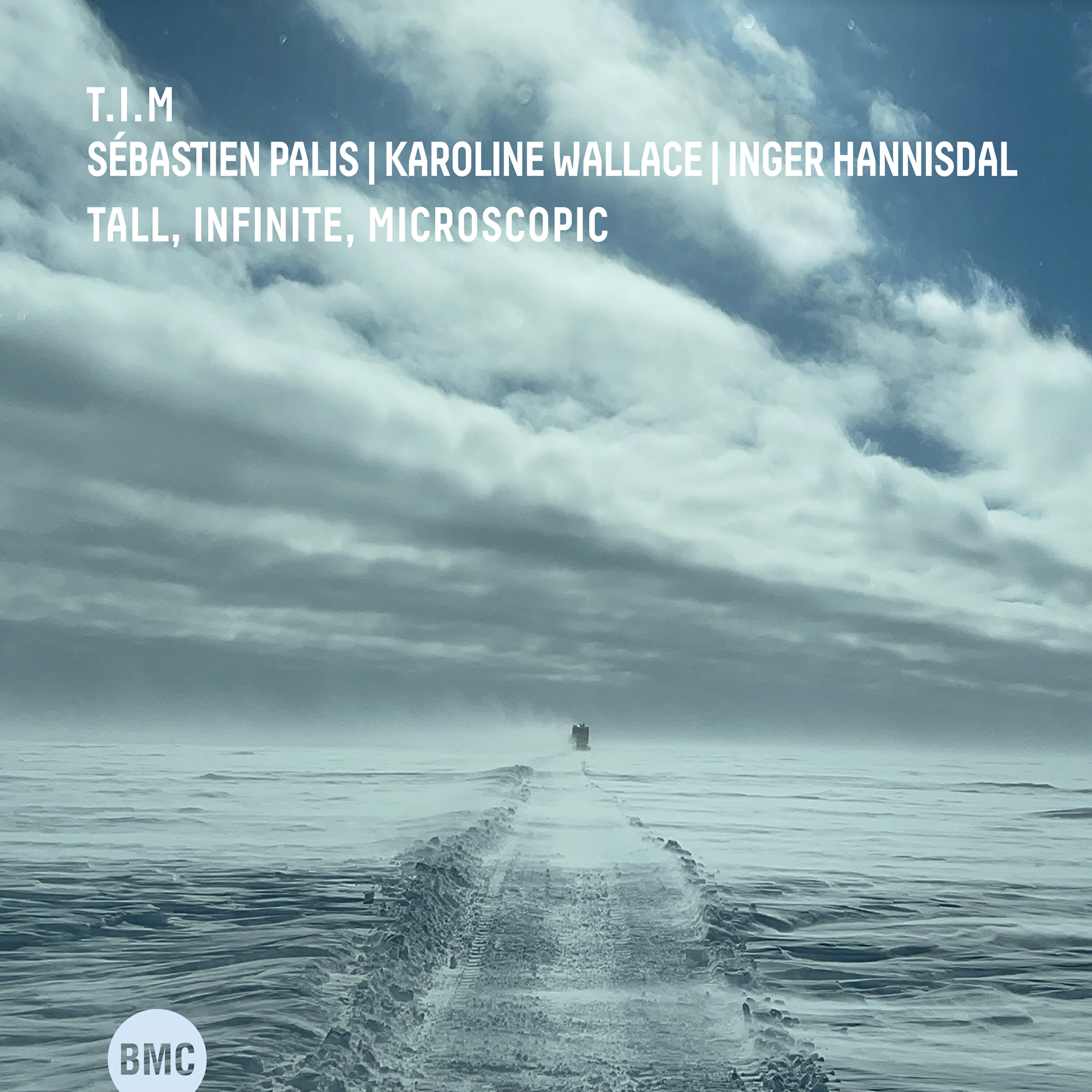 Релиз Tall, Infinite, Microscopic