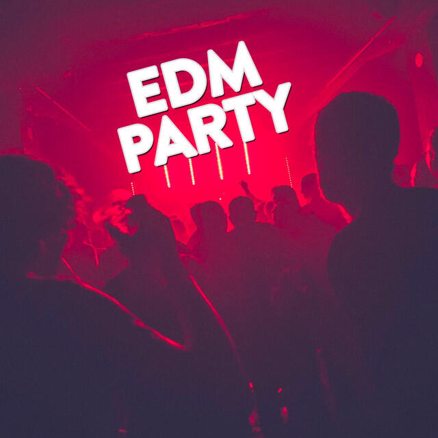 Релиз EDM Party