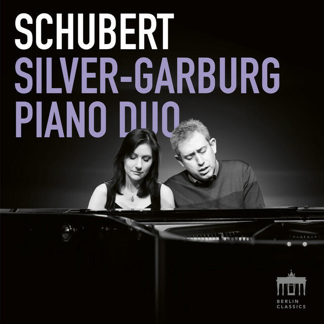 Постер альбома Schubert