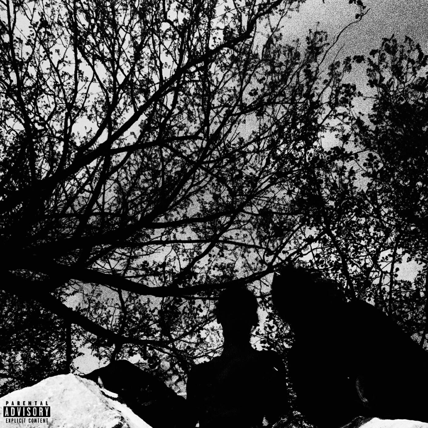 Релиз Consanguinity