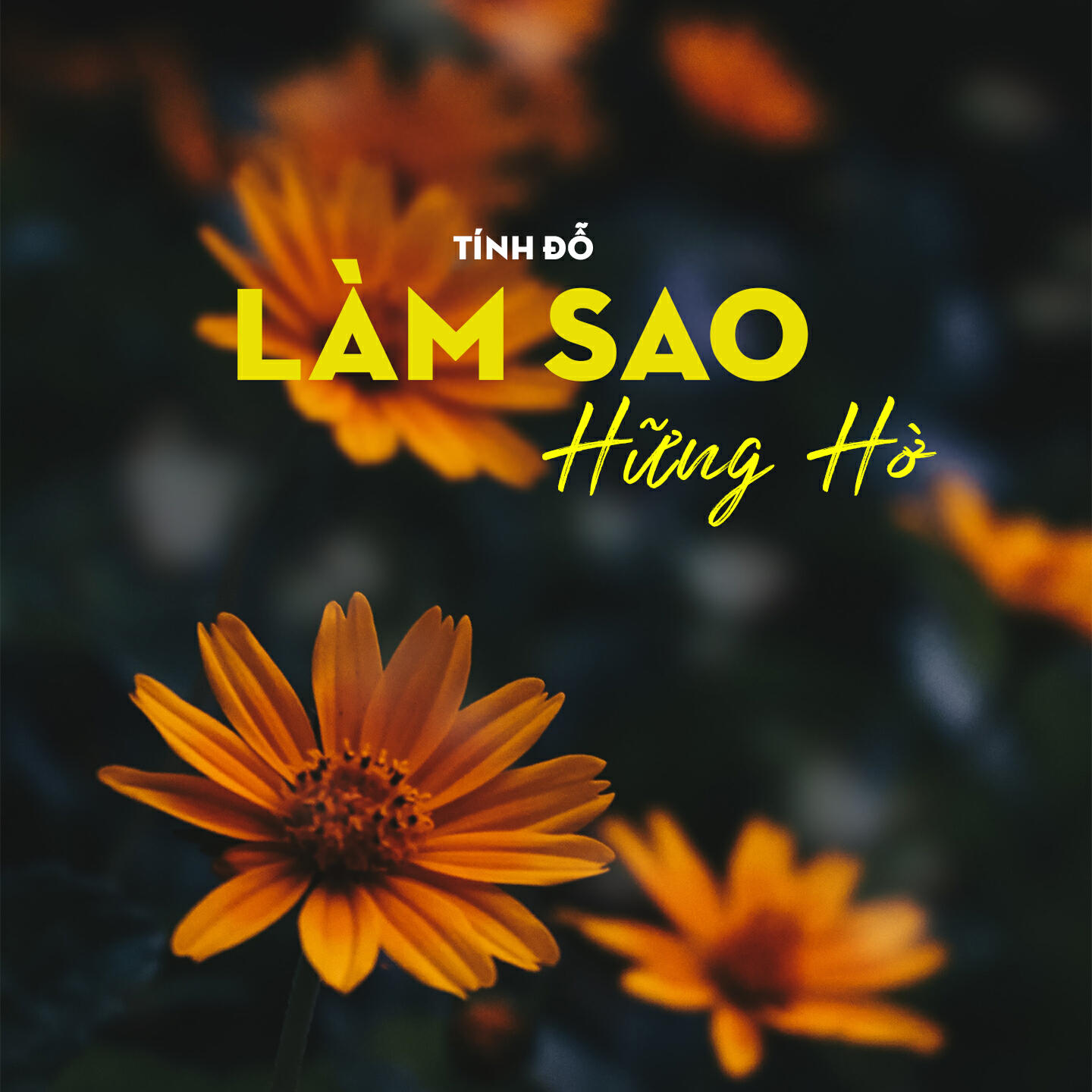 Релиз Làm Sao Hững Hờ