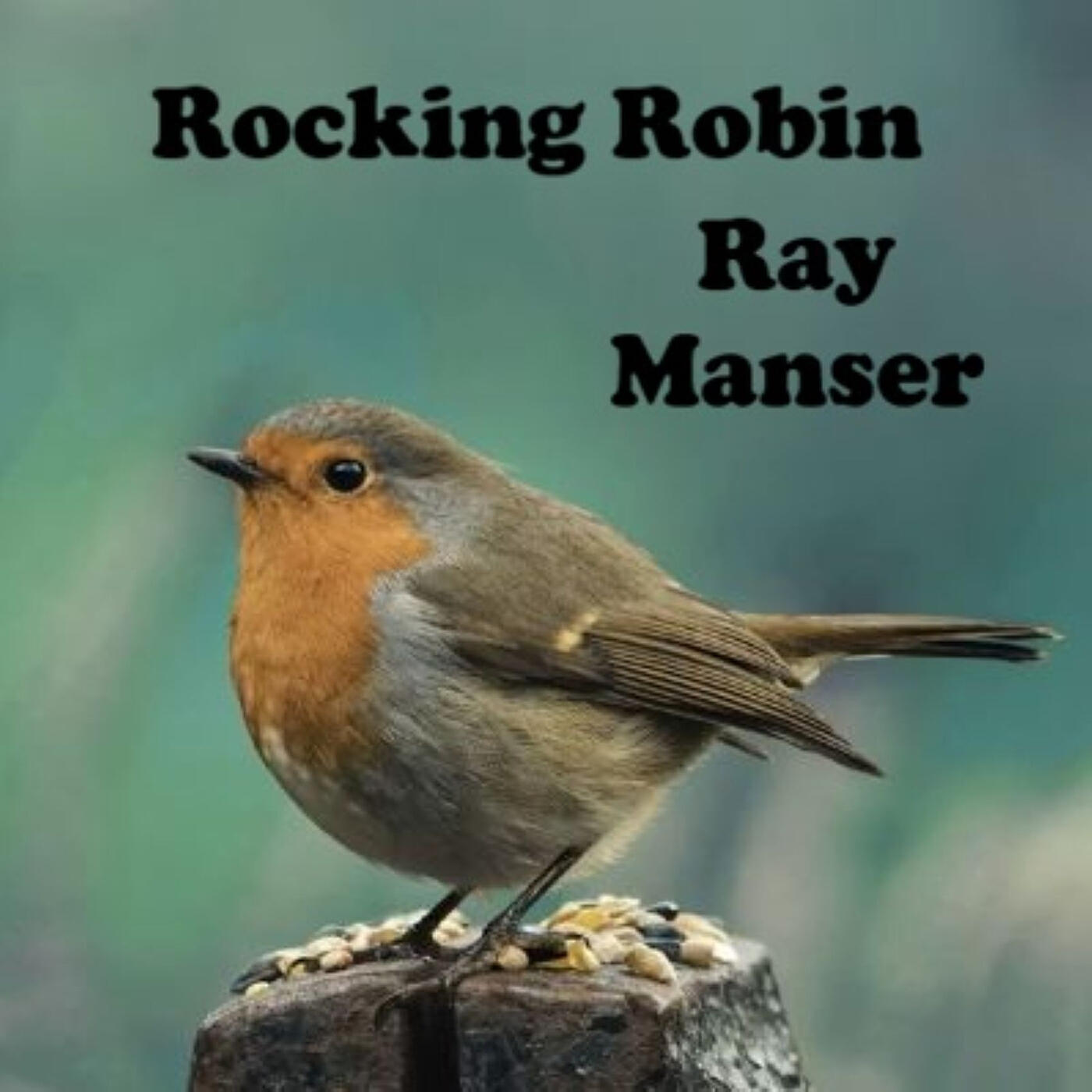 Релиз Rocking Robin