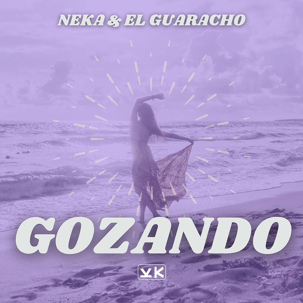 Постер альбома Gozando