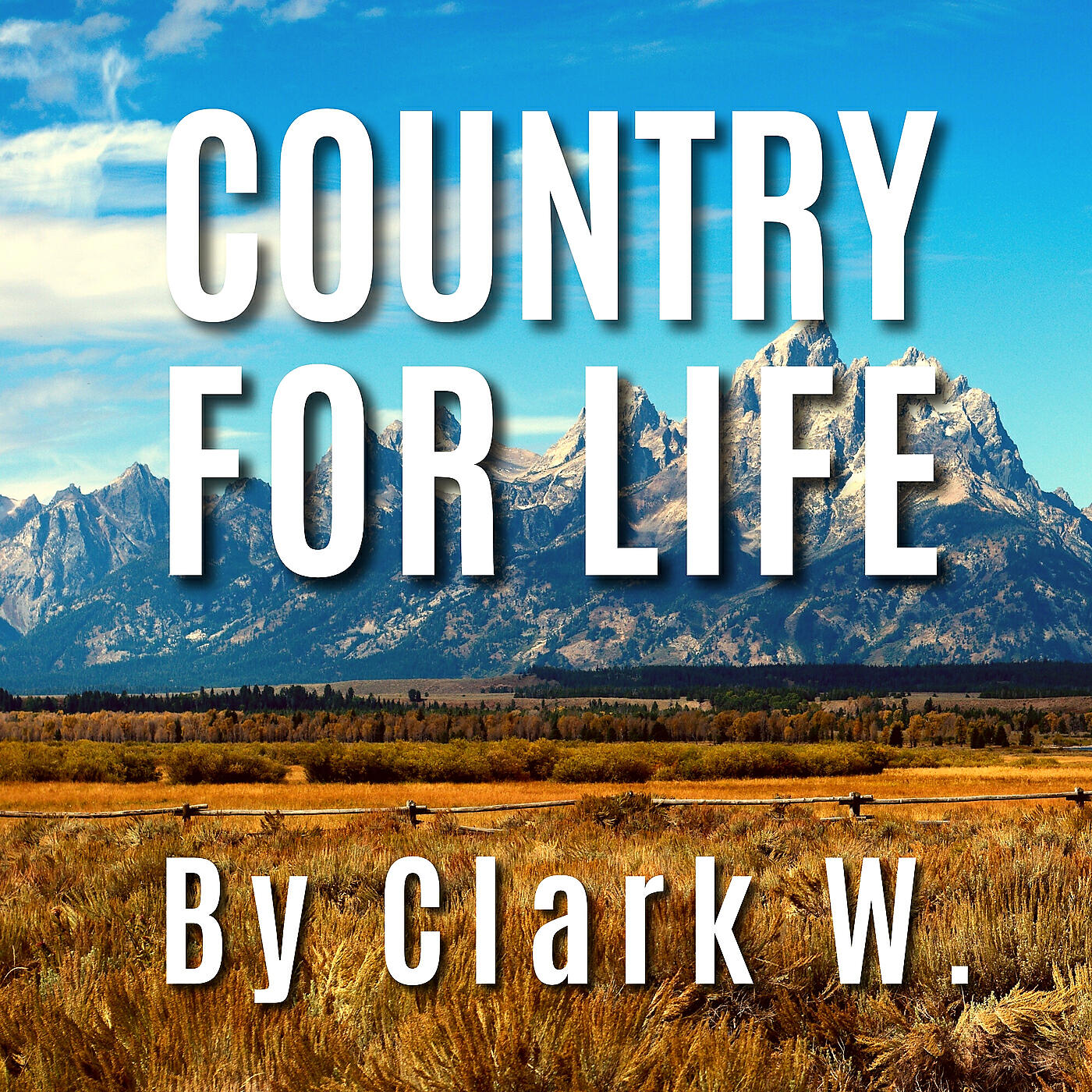 Релиз Country for Life