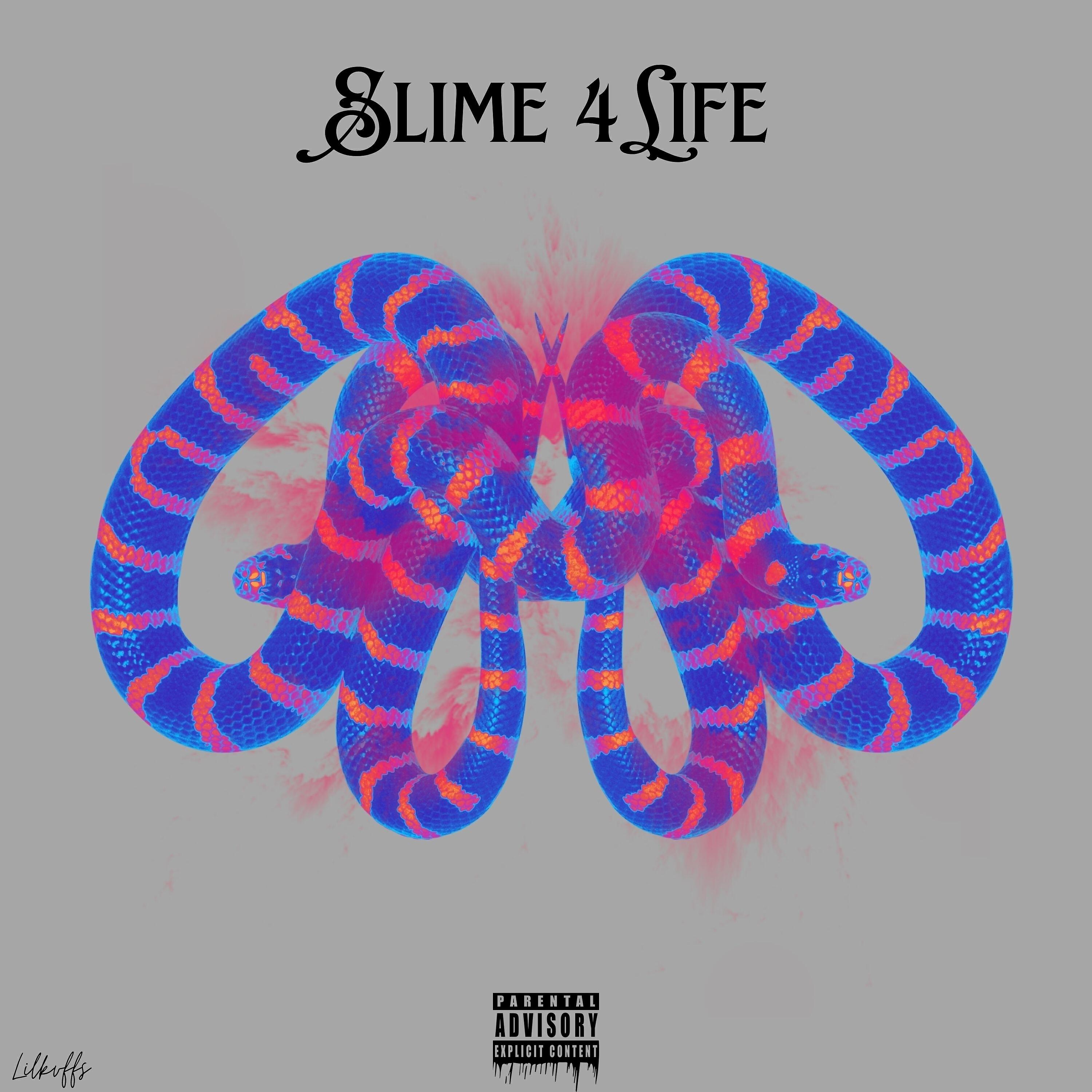 Релиз Slime 4 Life