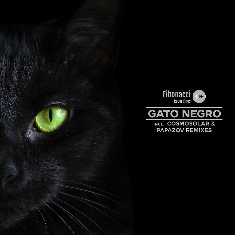 Скачать песню Jay Perlestein - Gato Negro (Papazov Abracadabra Remix) бесплатно в MP3 для Android и iOS
