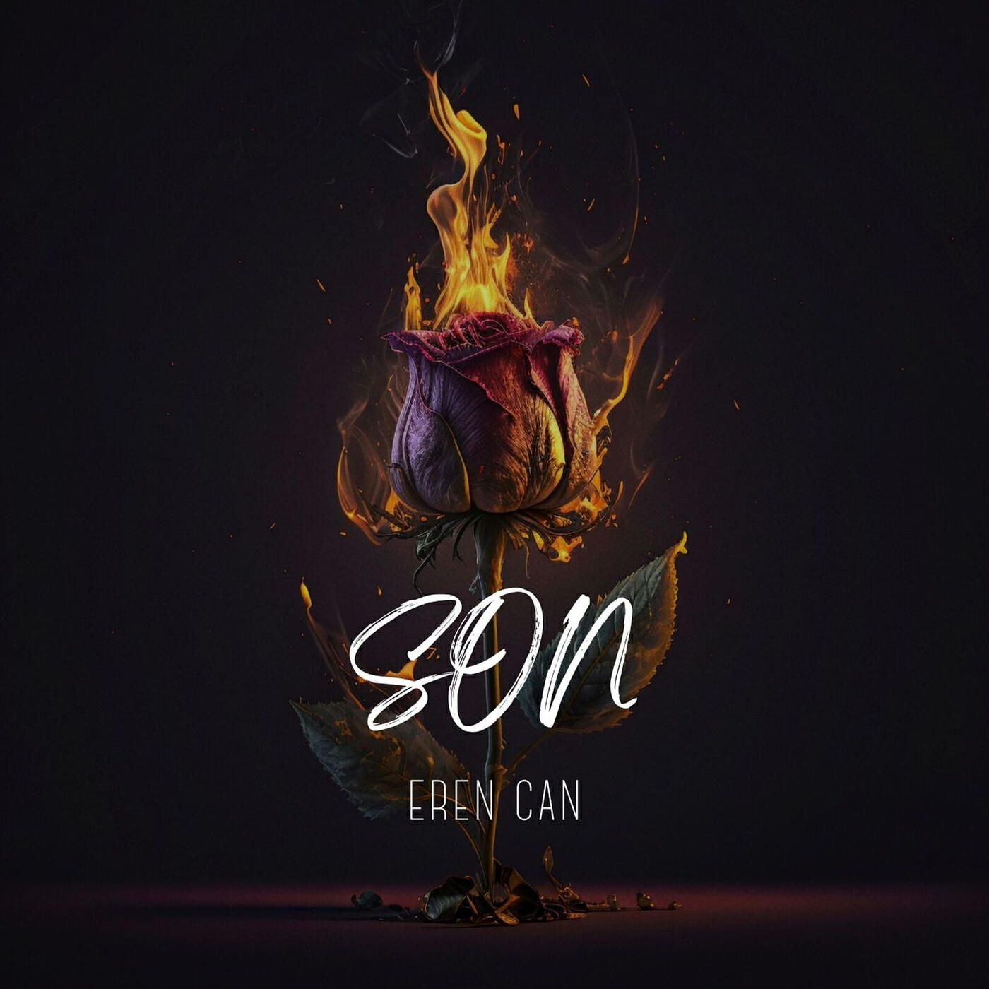 Релиз Son