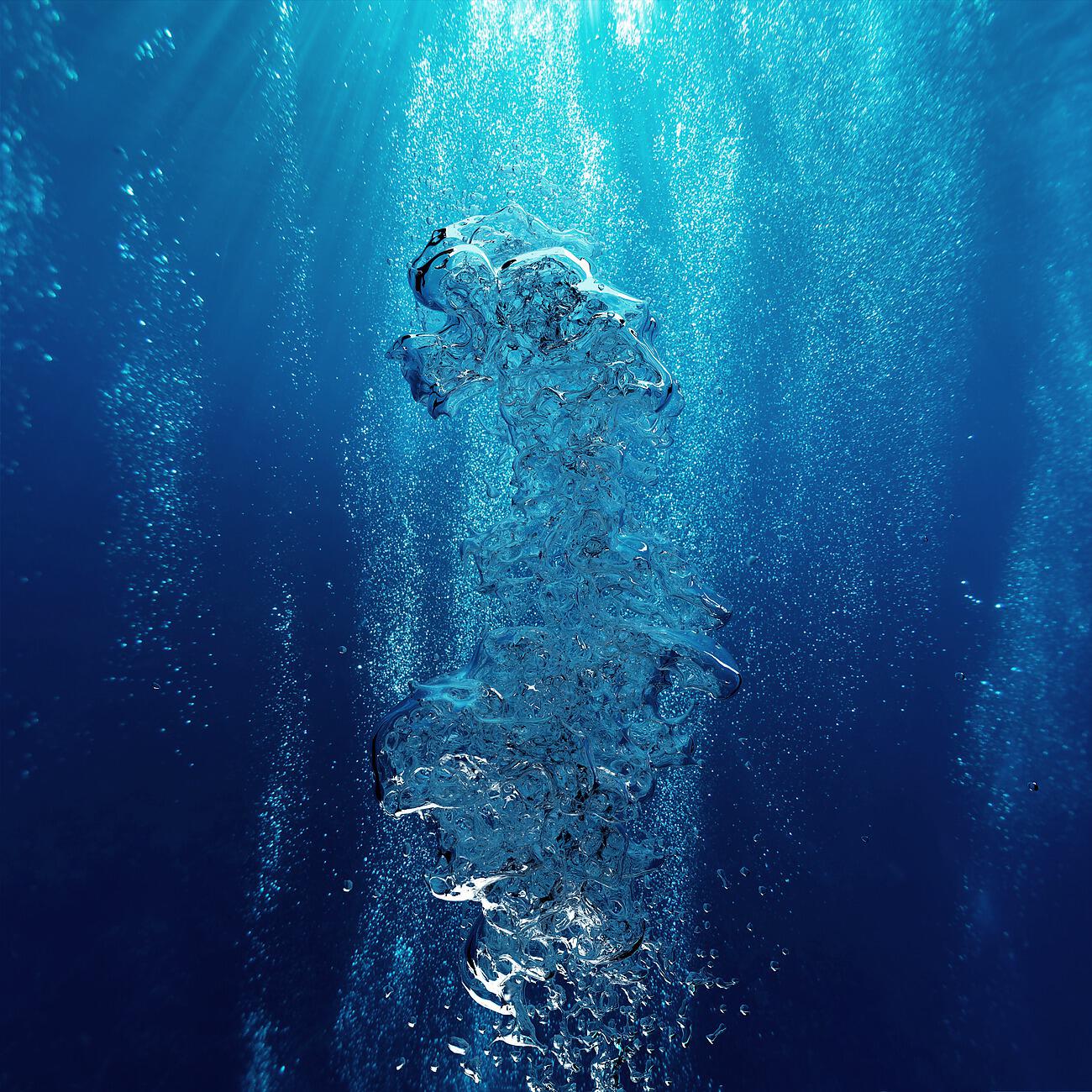 Релиз Plants of the Ocean