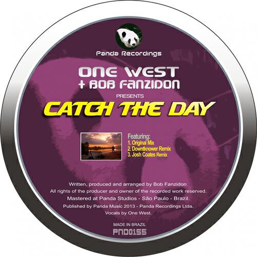 Релиз Catch the Day