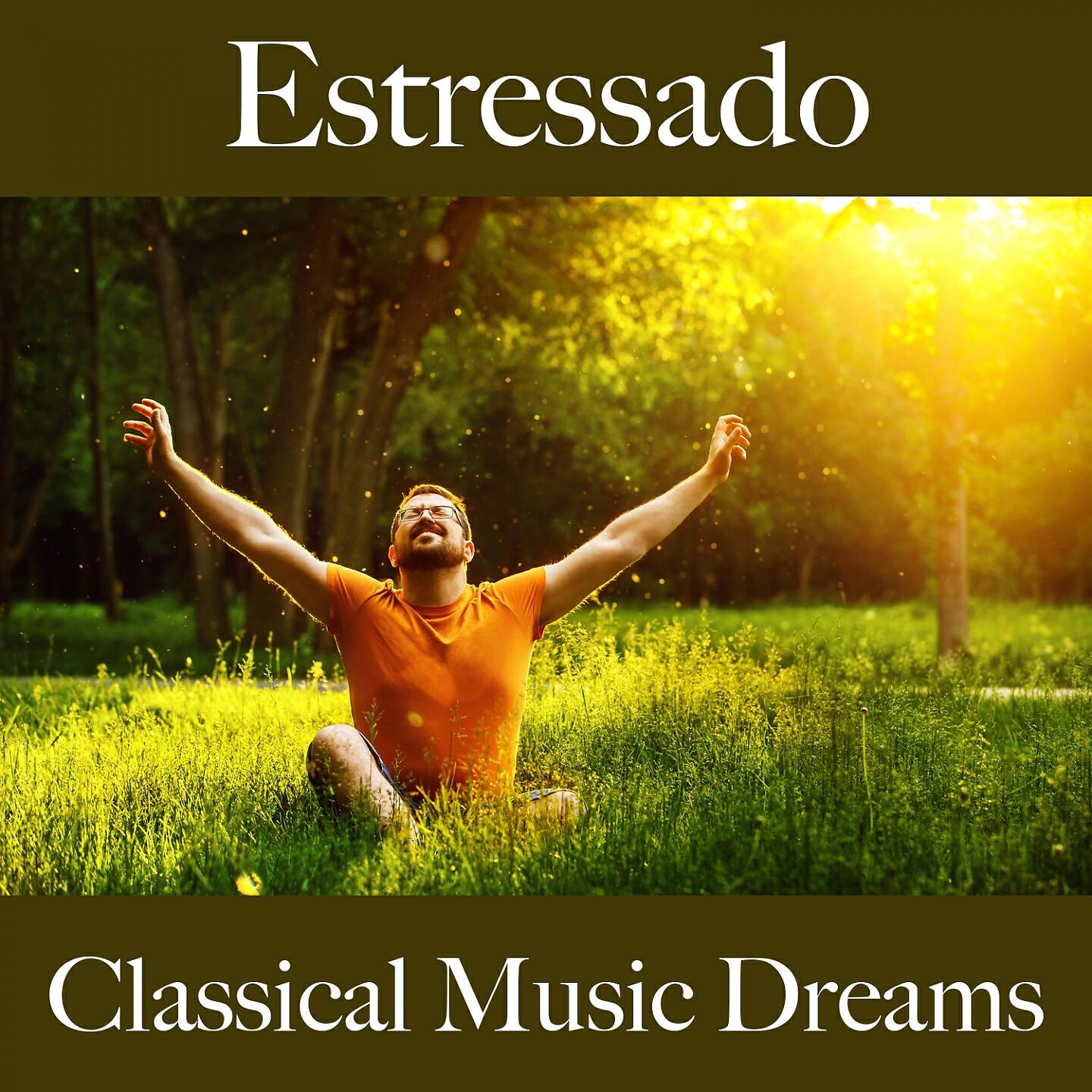 Релиз Estressado: Classical Music Dreams - A Melhor Música Para Relaxar