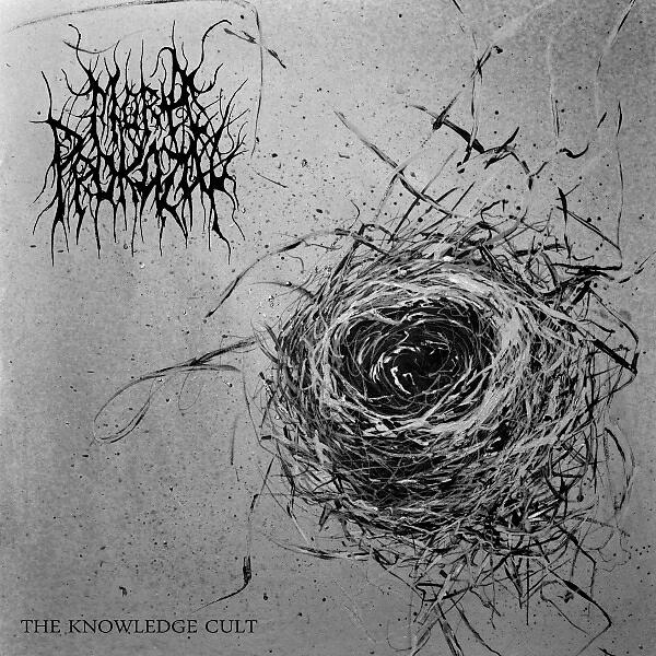 Релиз The Knowledge Cult