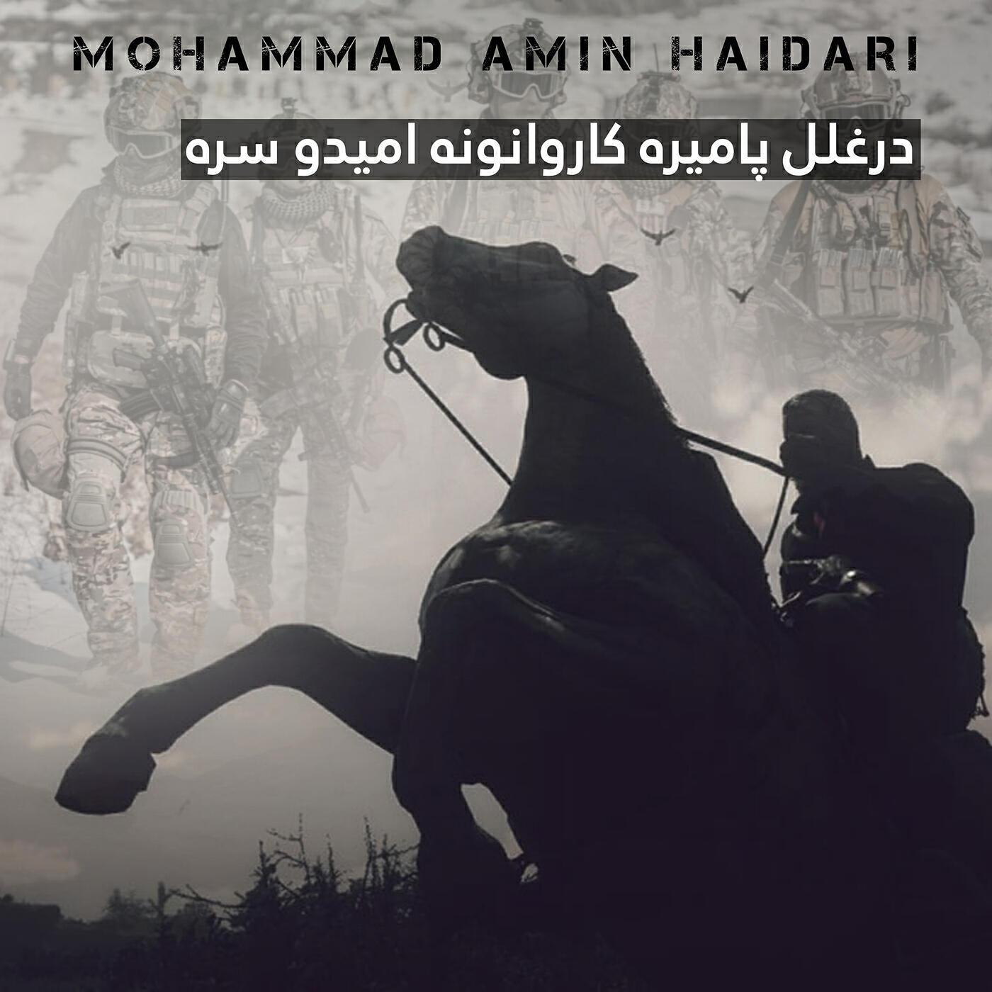 Mohammad Amin Haidari