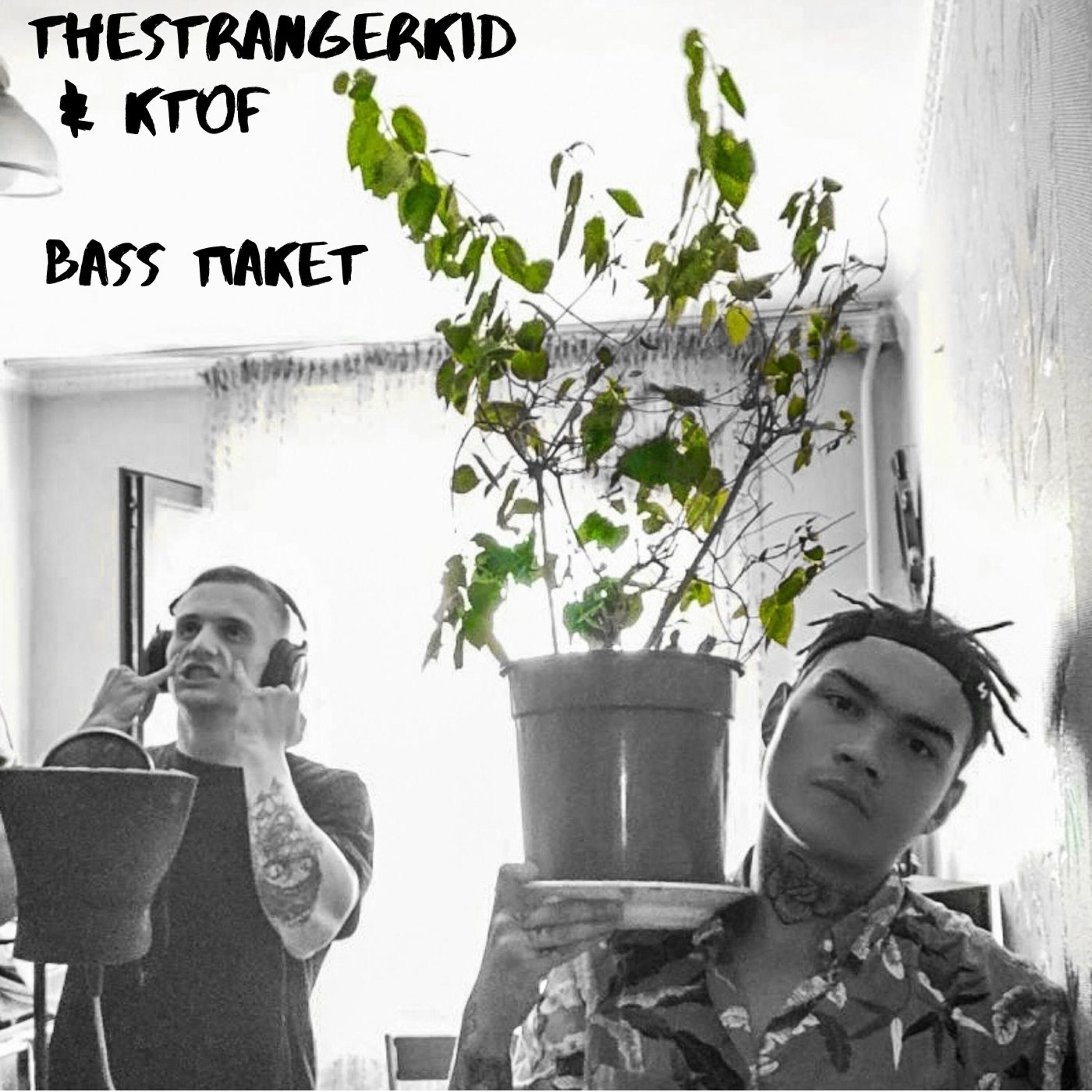 Релиз Bass Пакет