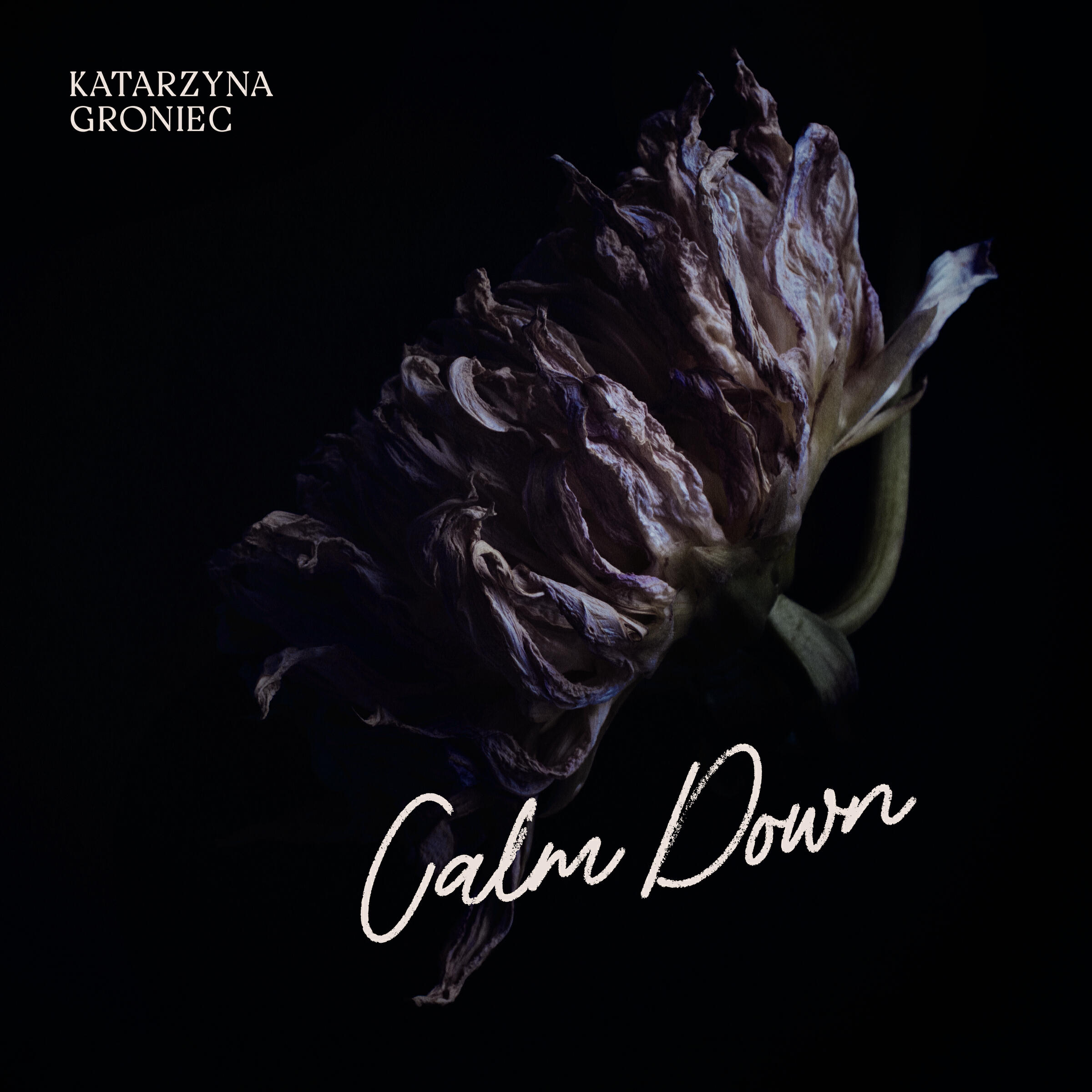 Релиз Calm Down