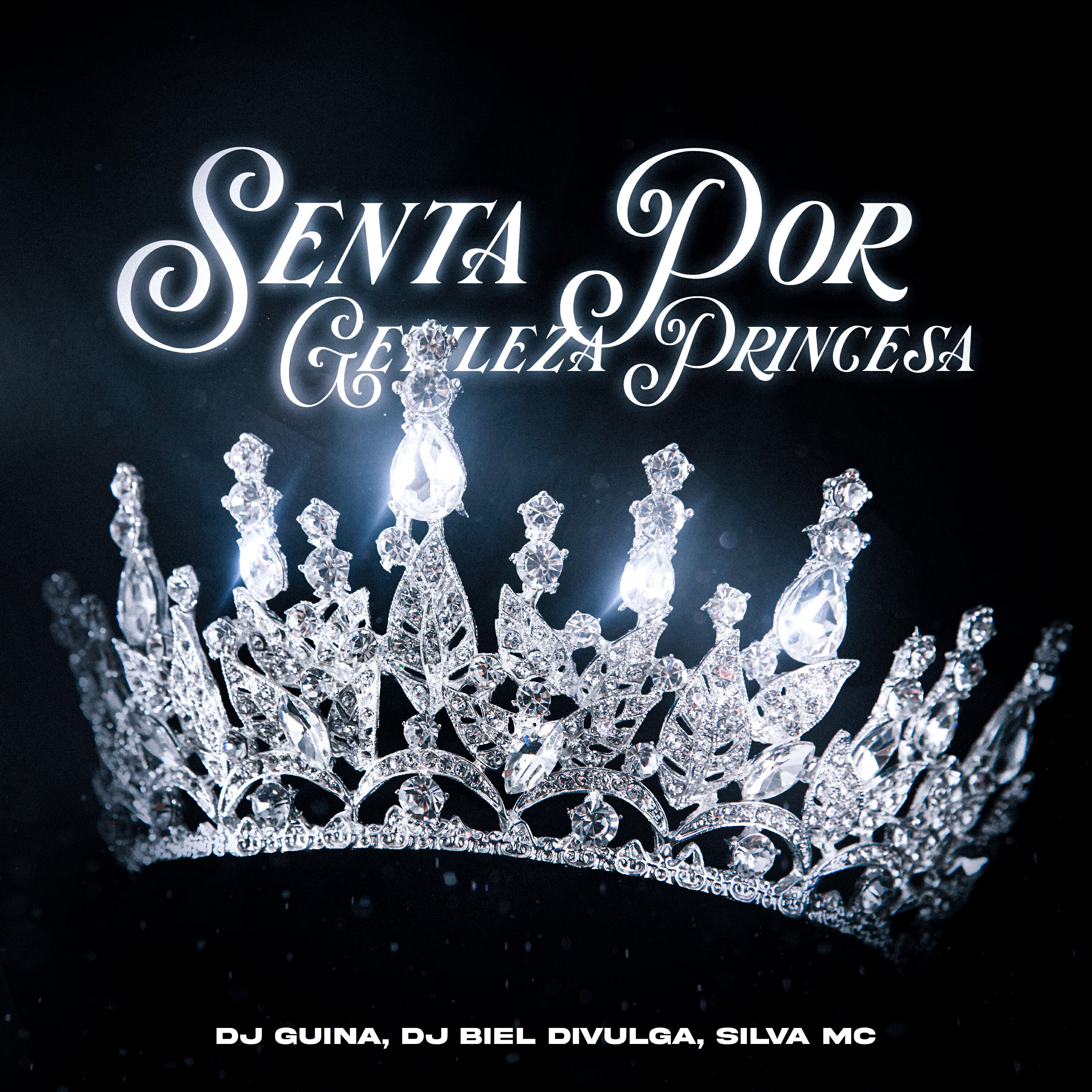 Dj Biel Divulga все песни в mp3