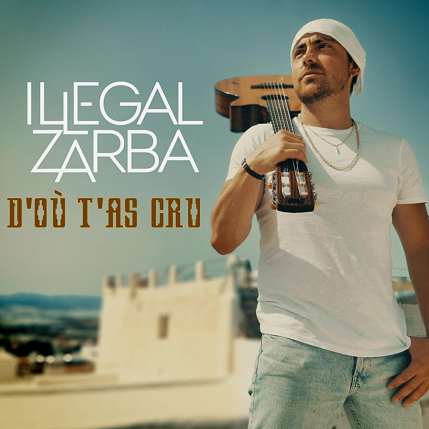 Illegal Zarba