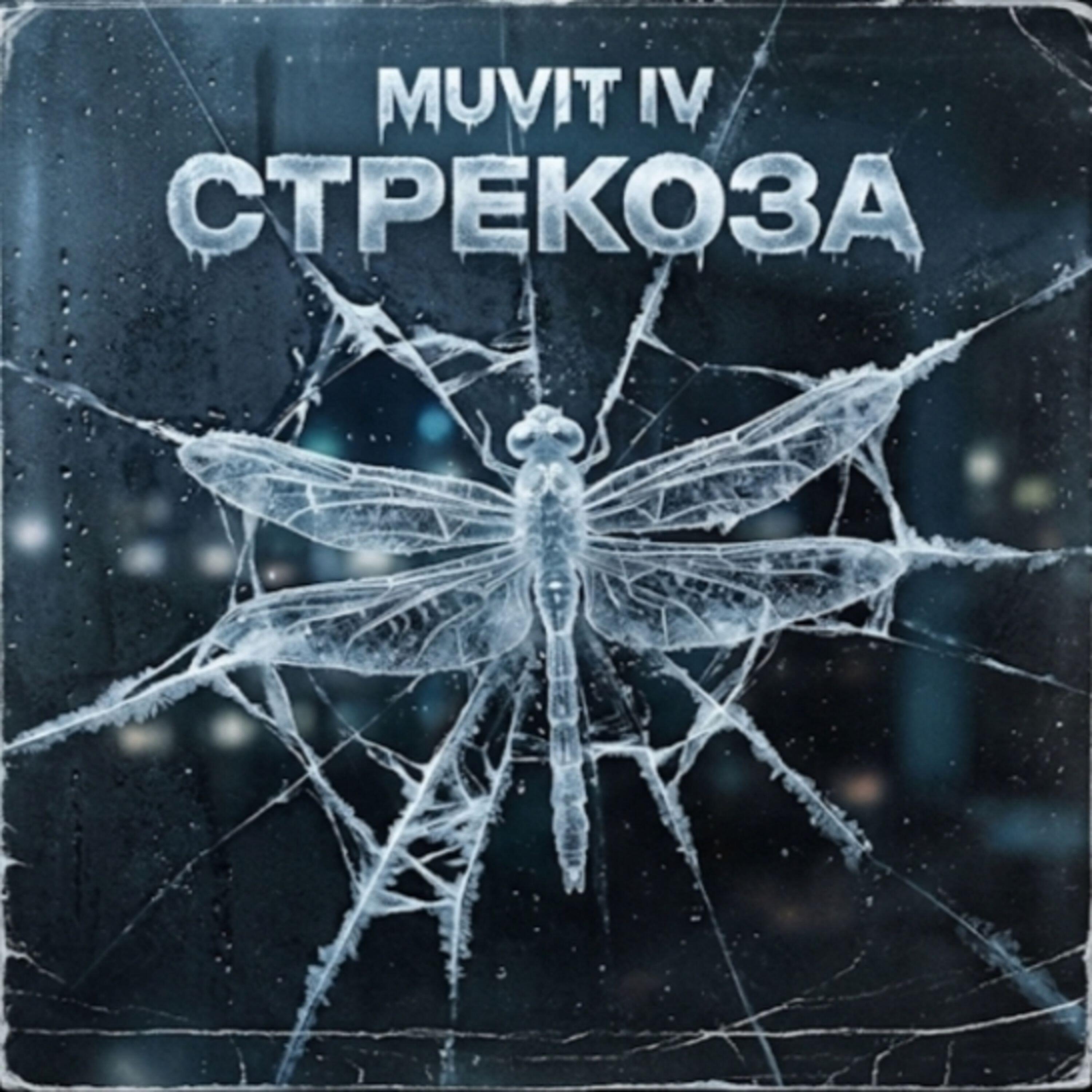 Релиз Стрекоза