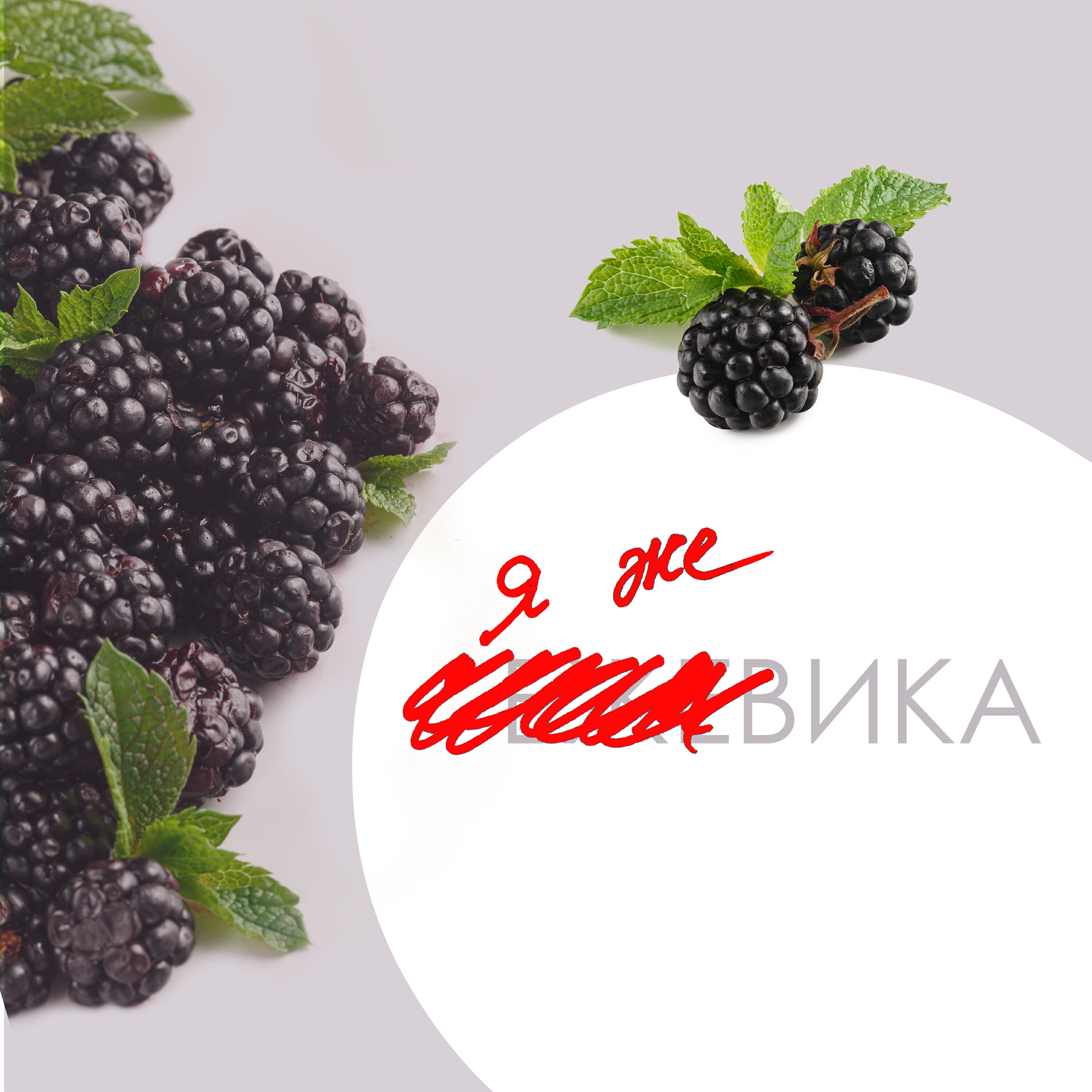 Релиз Я же Вика!
