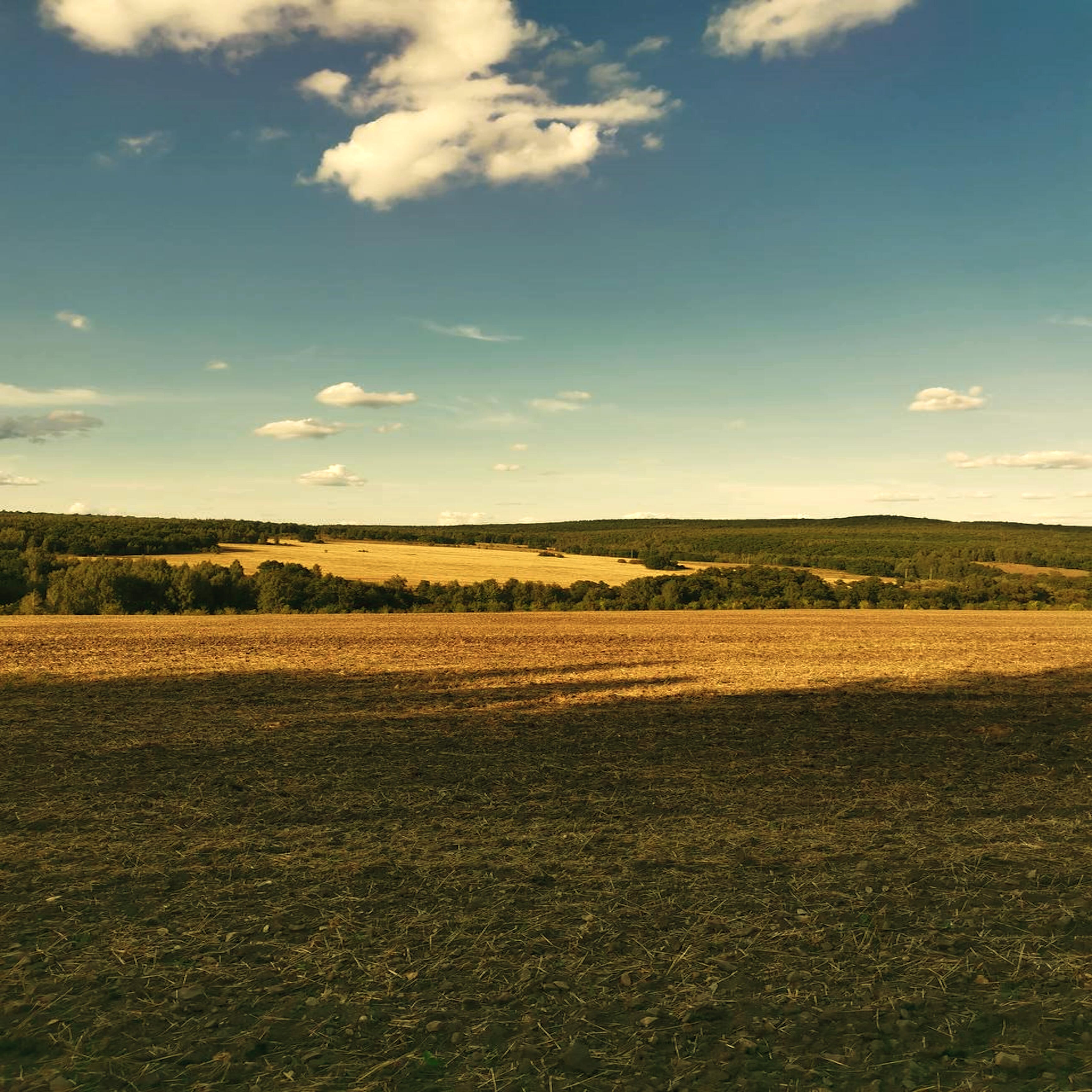 Релиз Just... Remember Summer