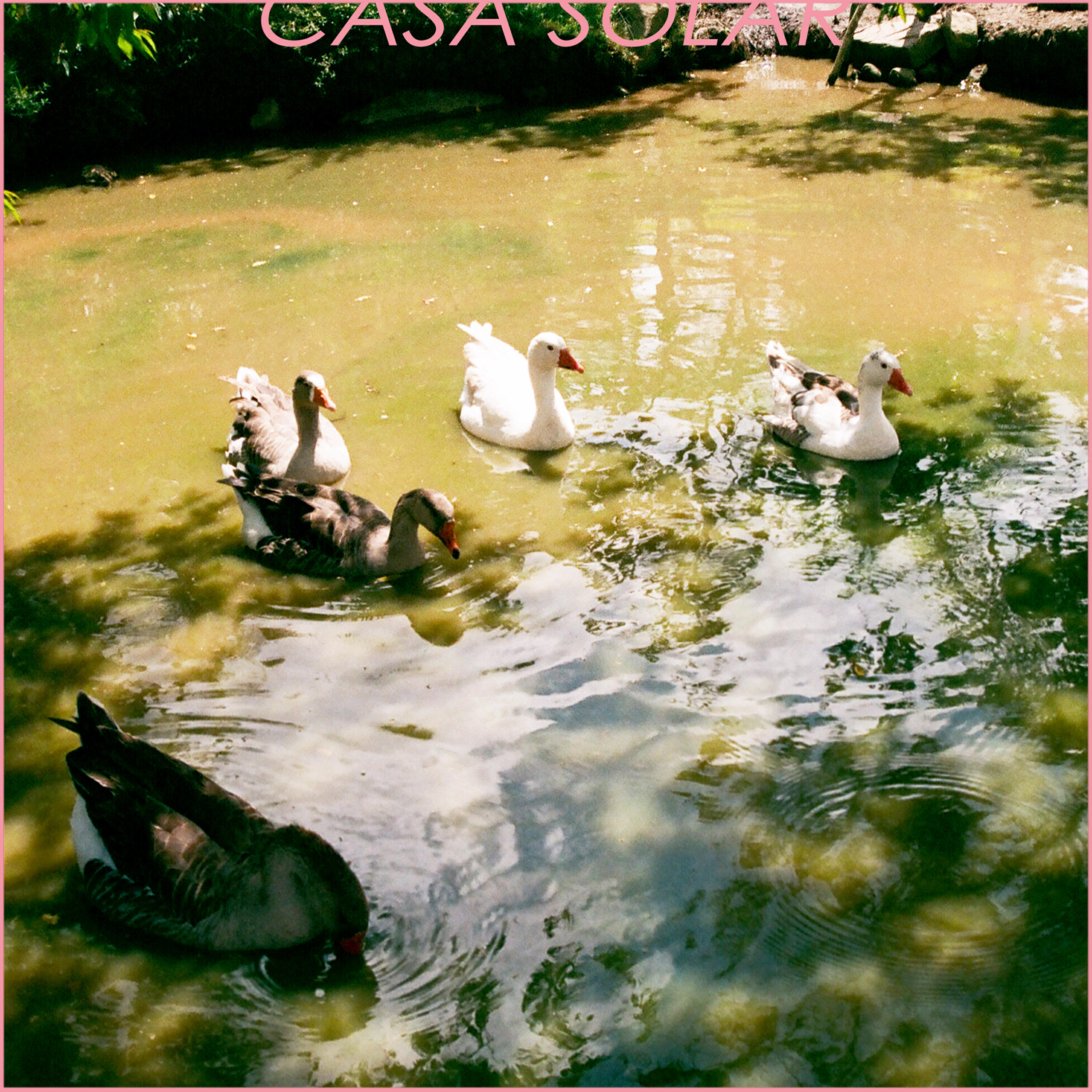 Релиз Casa Solar