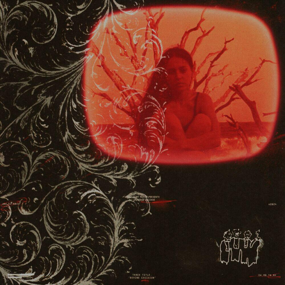 Релиз Hole In A Frame / Pants
