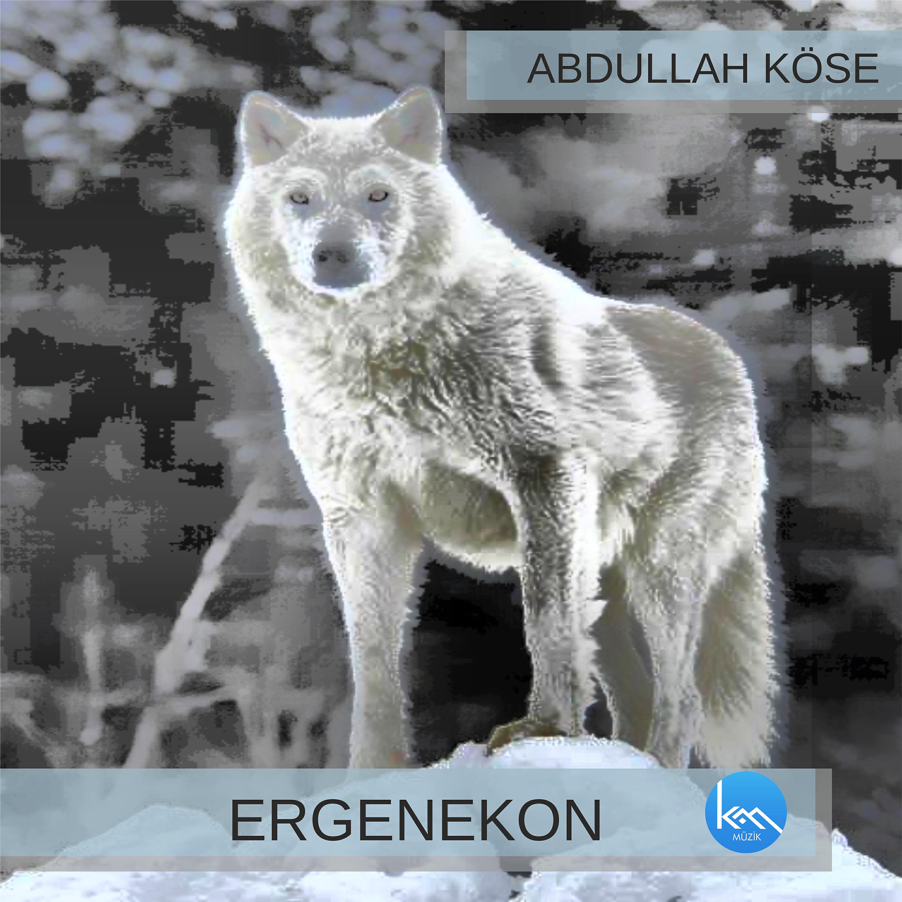 Релиз Ergenekon