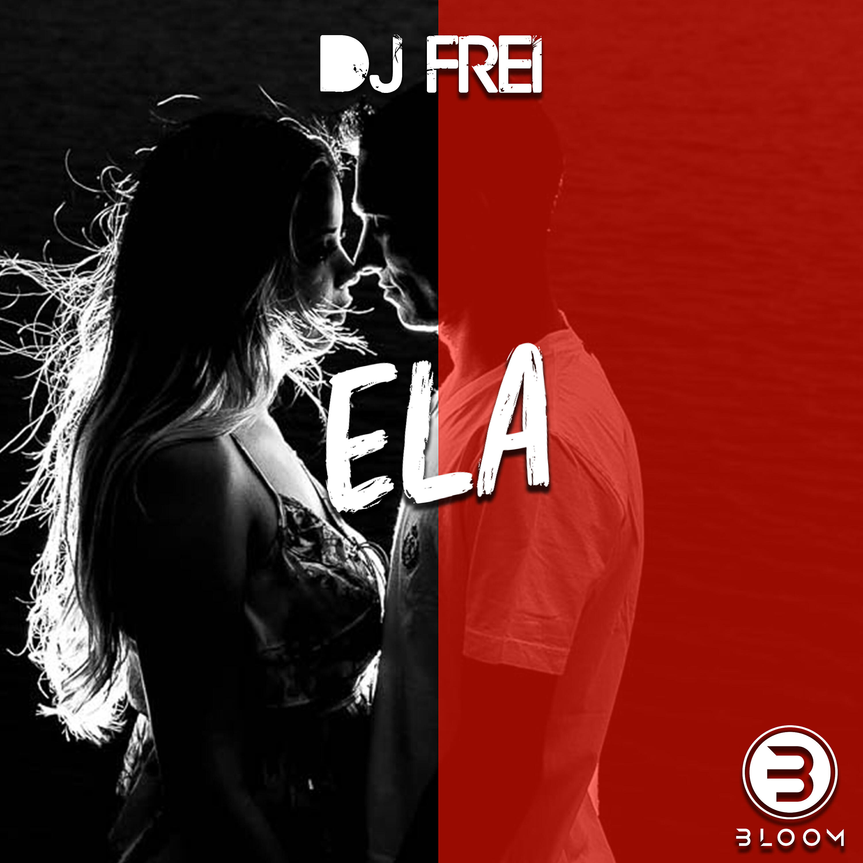 Dj Frei
