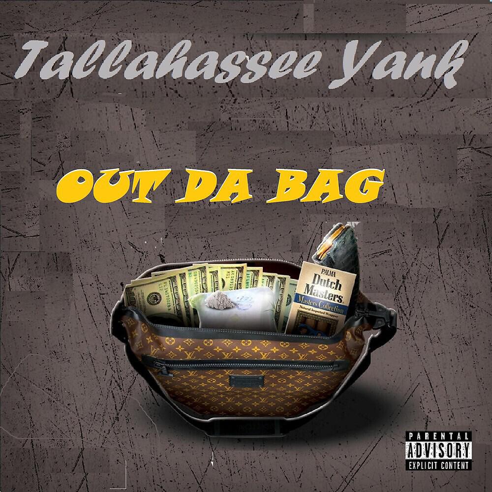 Tallahassee Yank