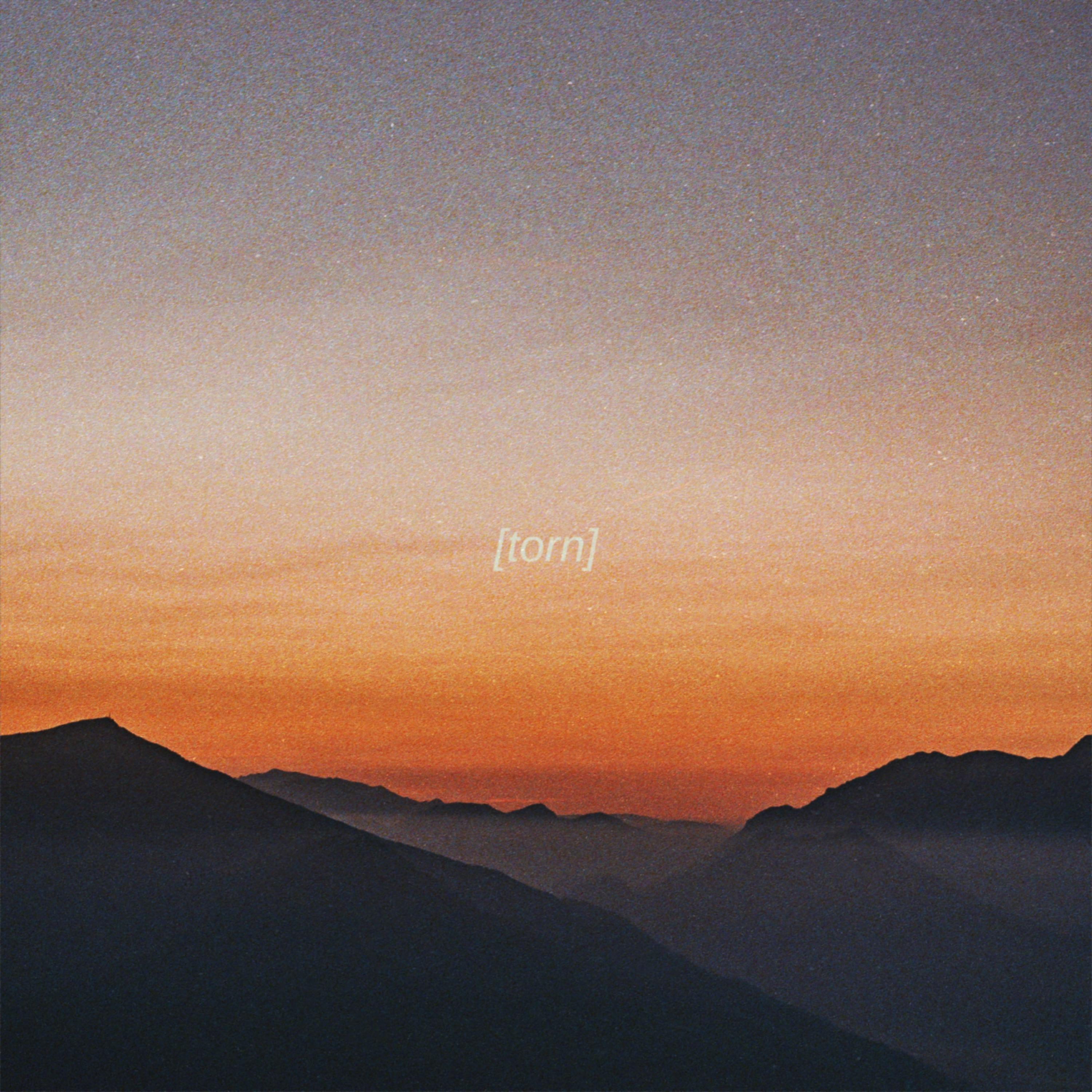 Релиз Torn