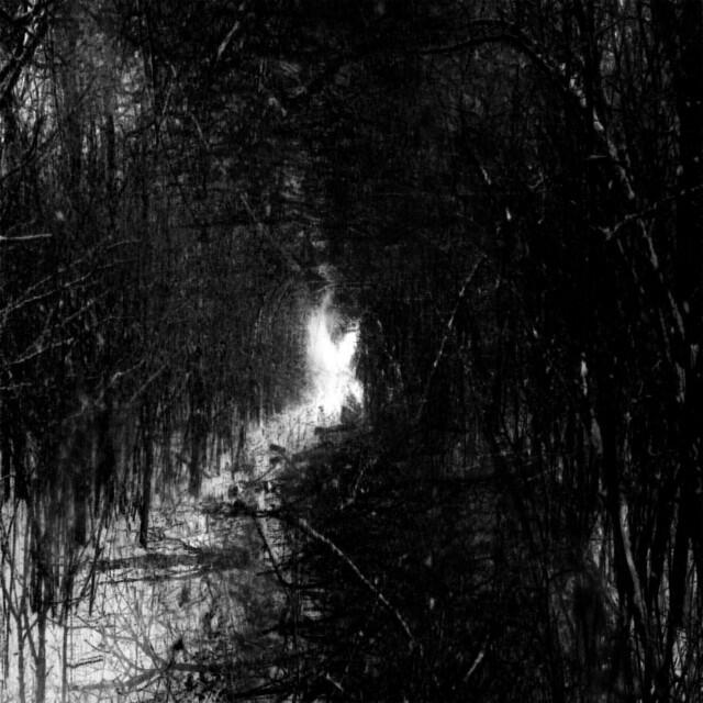 Релиз I See the Black Engulf the White