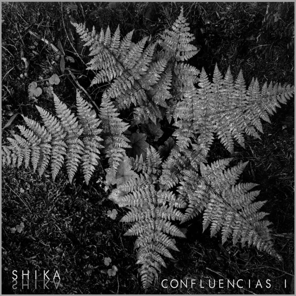 Релиз Confluencias I: Selva