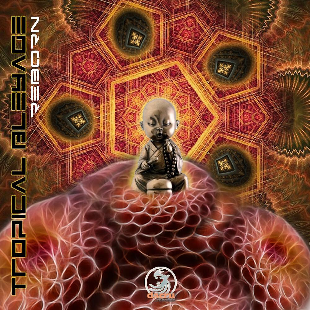 Постер альбома Reborn