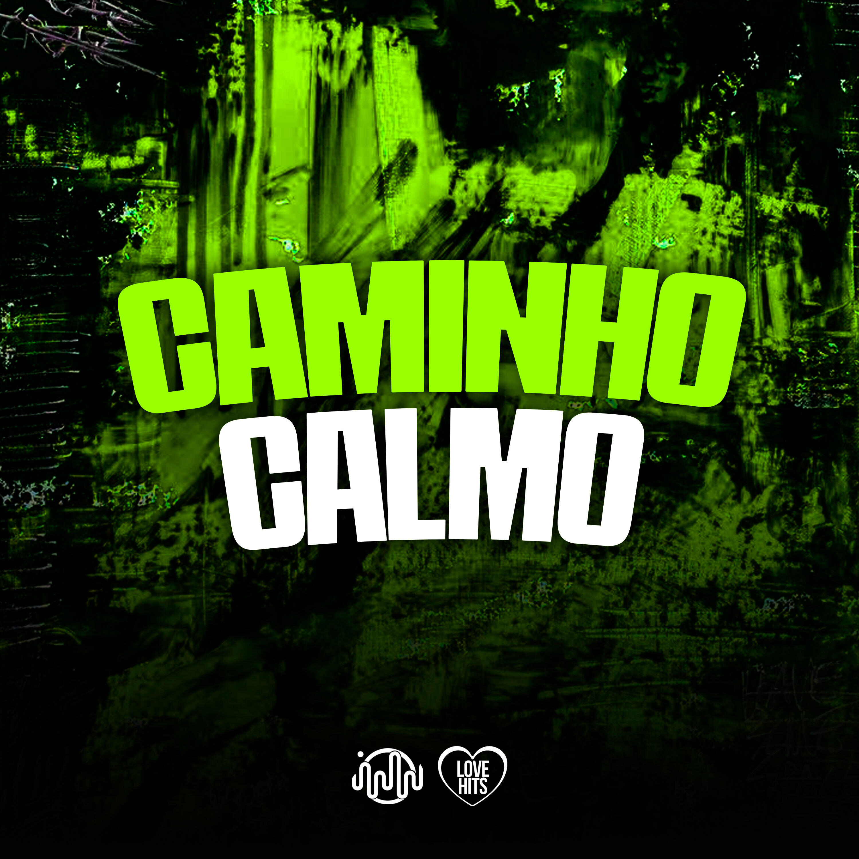 Постер альбома Caminho Calmo