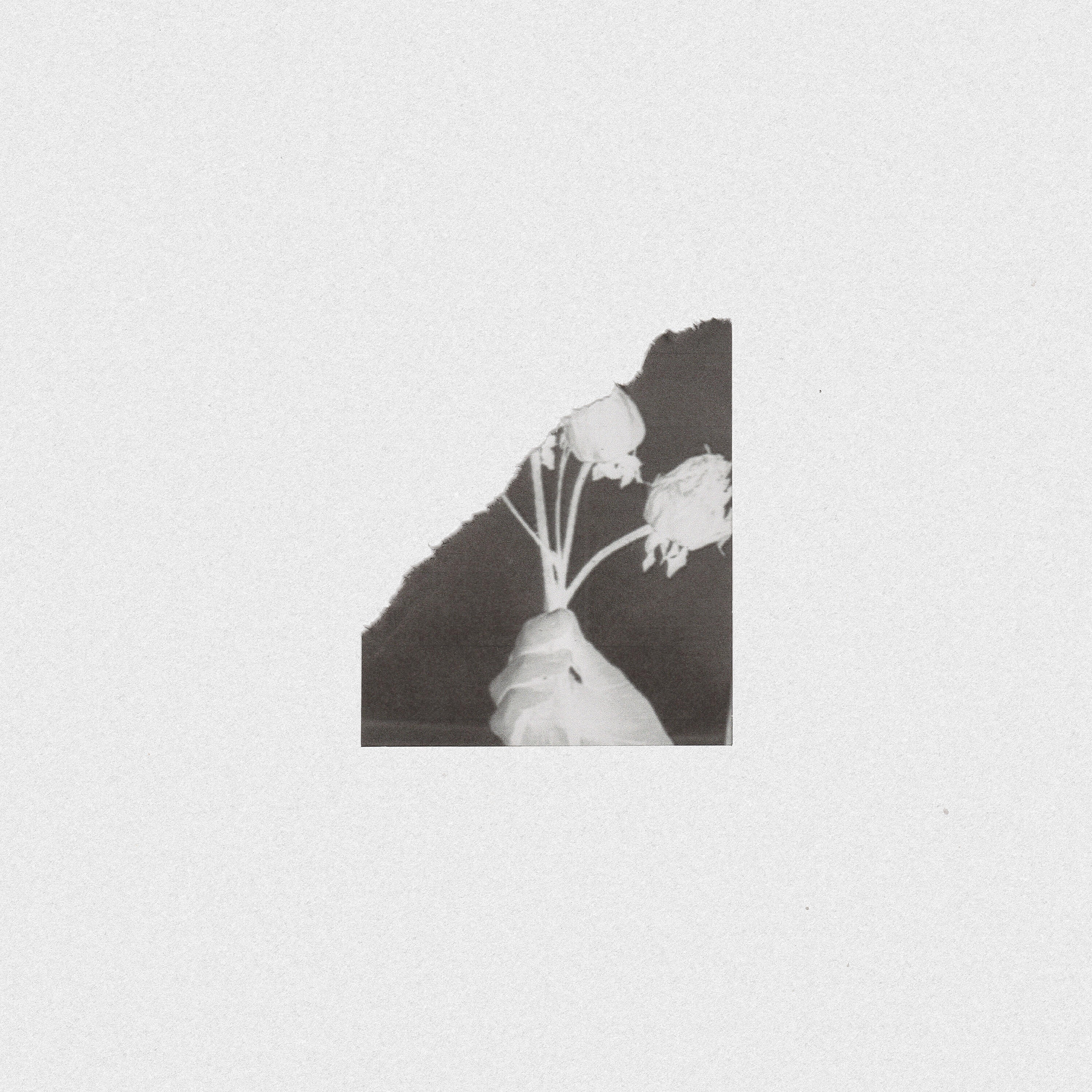 Релиз Portra (Jez Williams Remix)