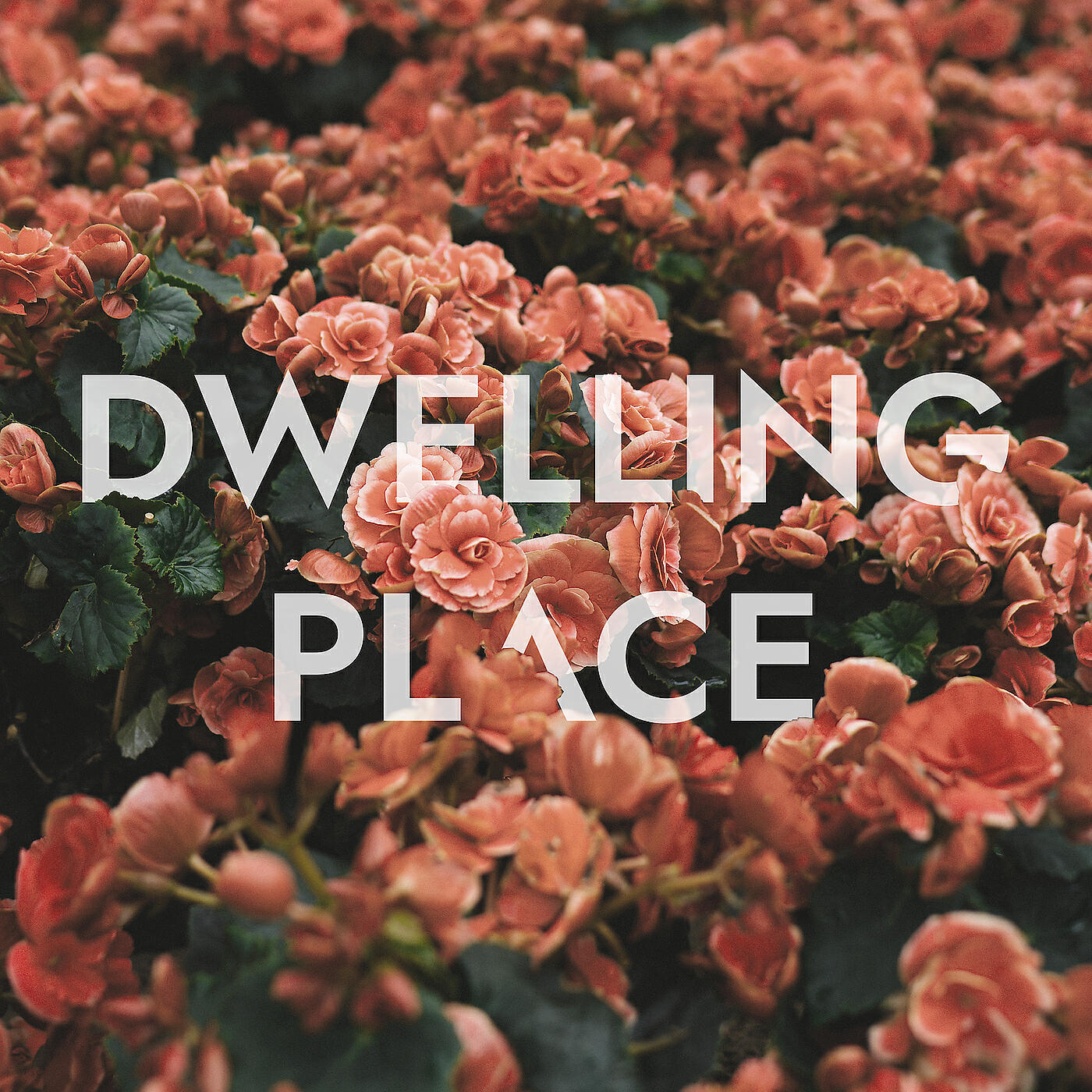 Постер альбома Dwelling Place