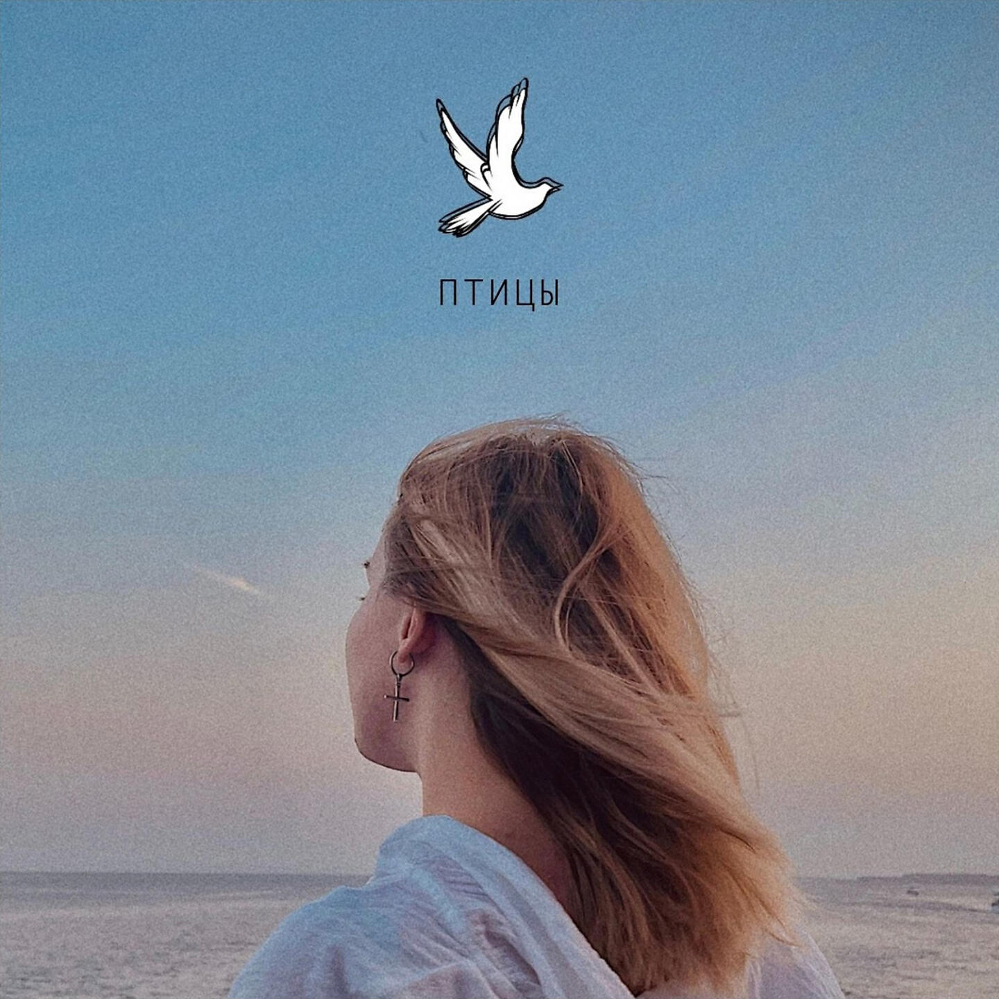Релиз Птицы