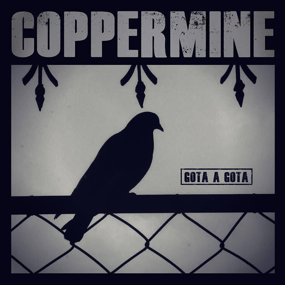 Релиз Gota a Gota