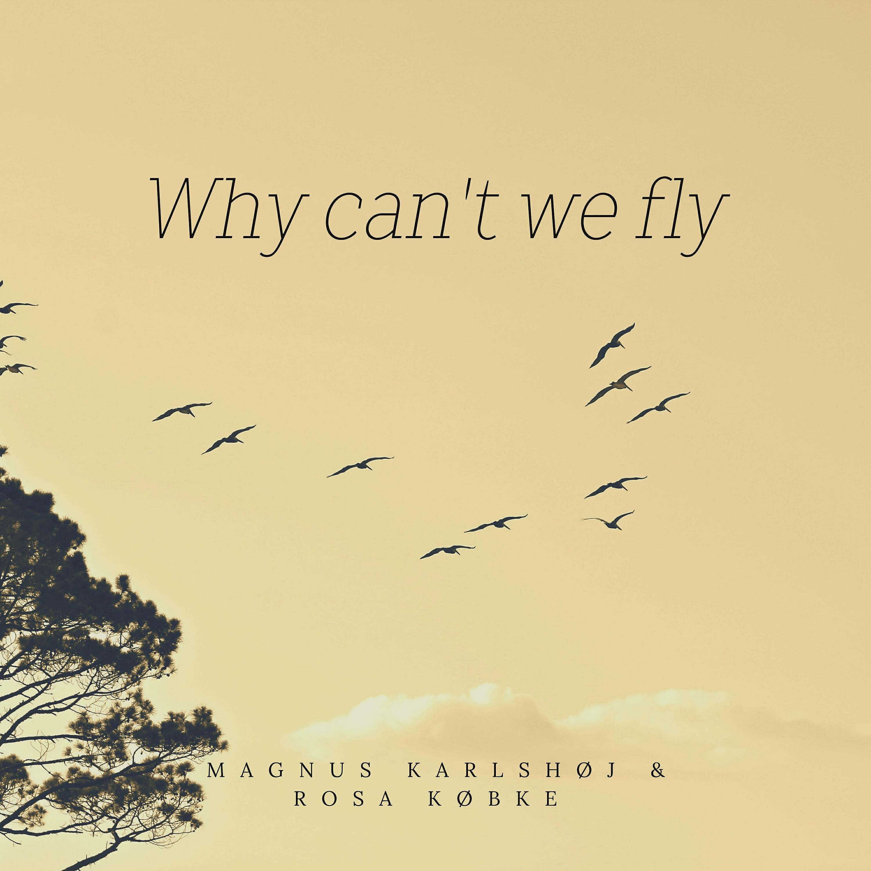 Релиз Why Can't We Fly?