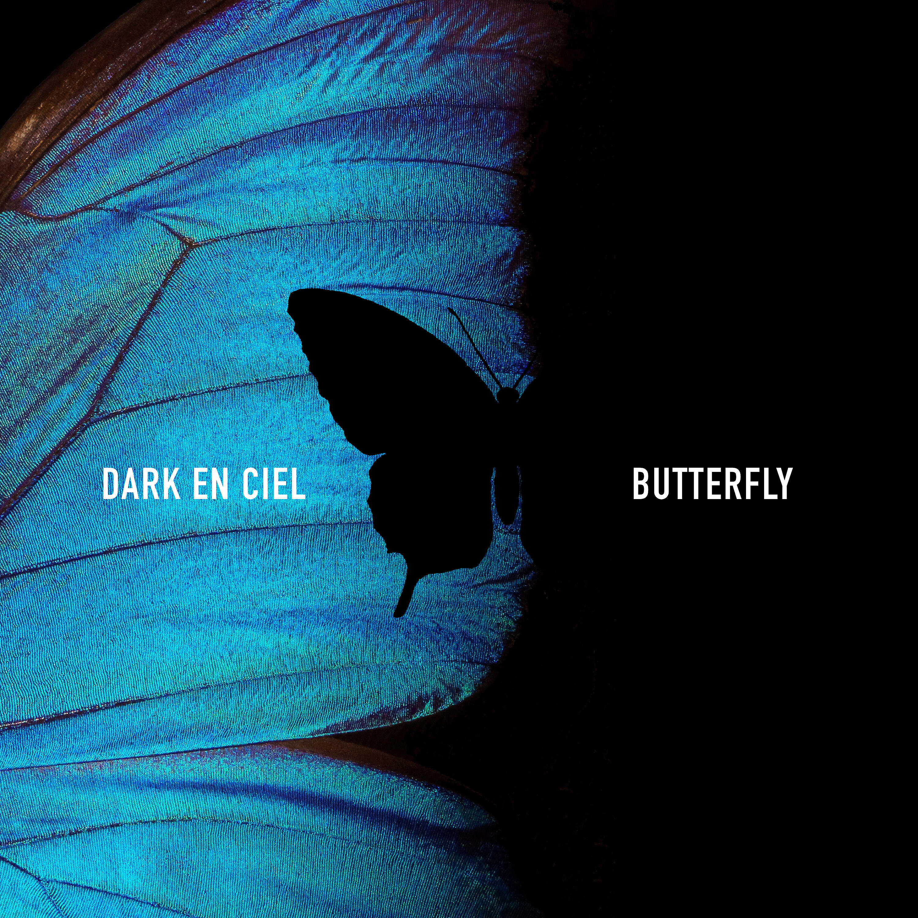 Релиз Butterfly
