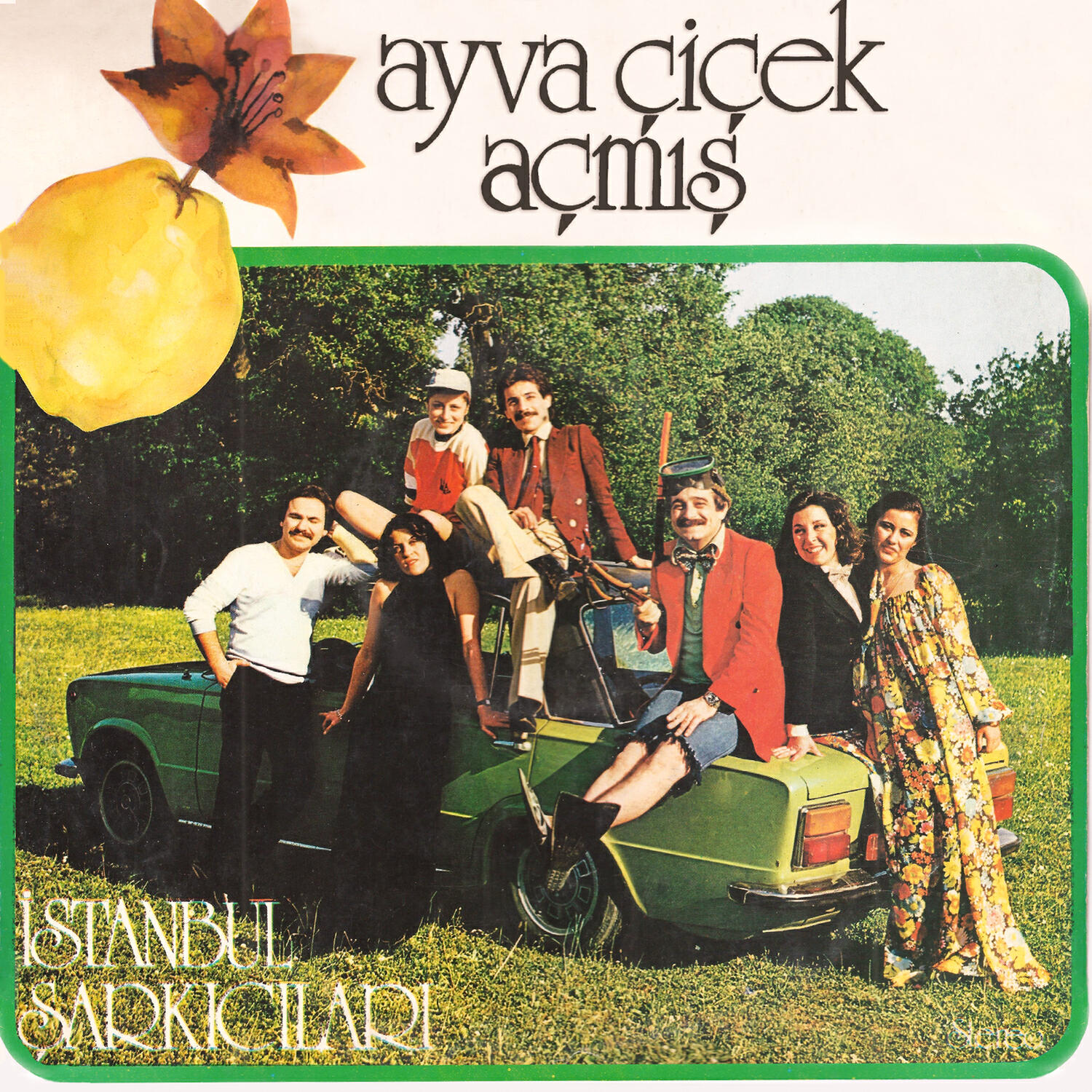 Релиз Ayva Çiçek Açmış