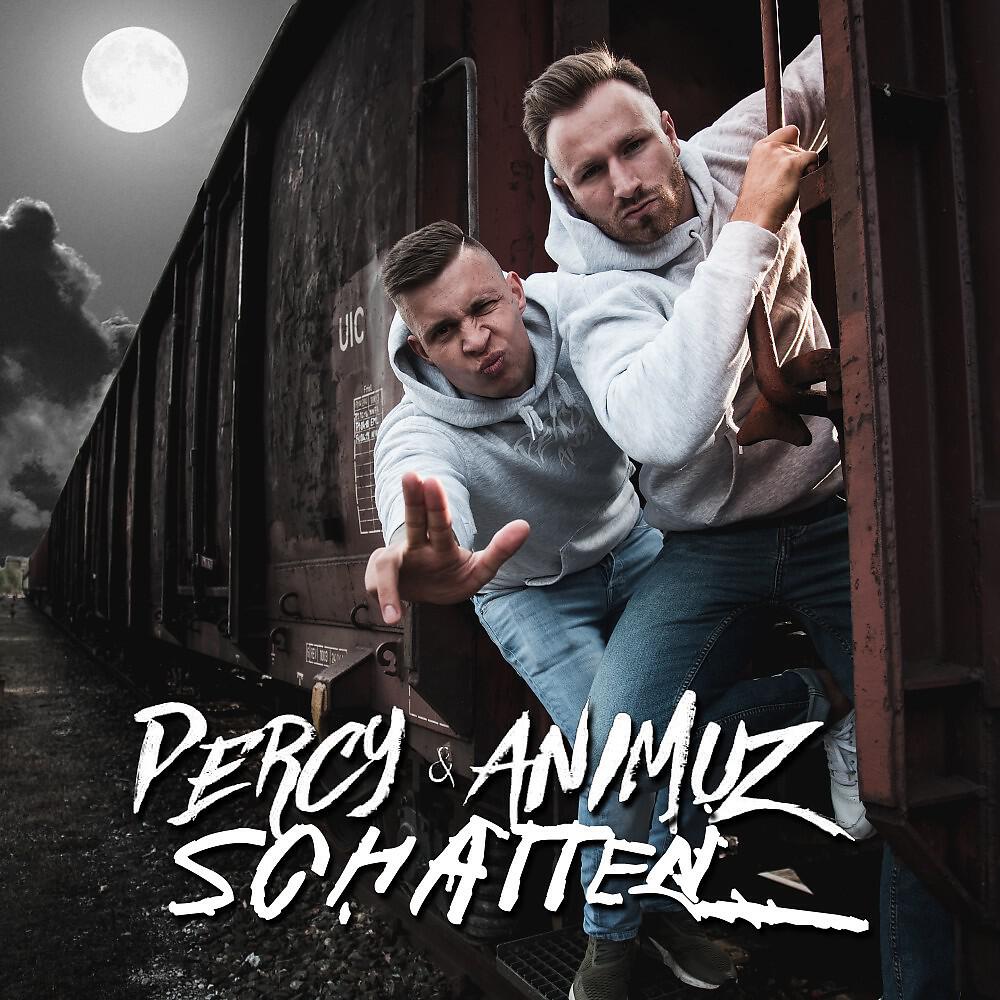 Релиз Schatten (Tekk Remix)