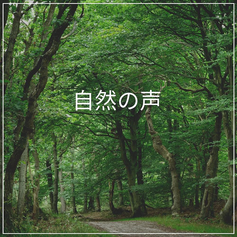 Релиз 自然の声