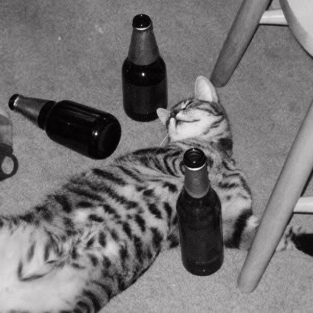 Релиз nejsem sober