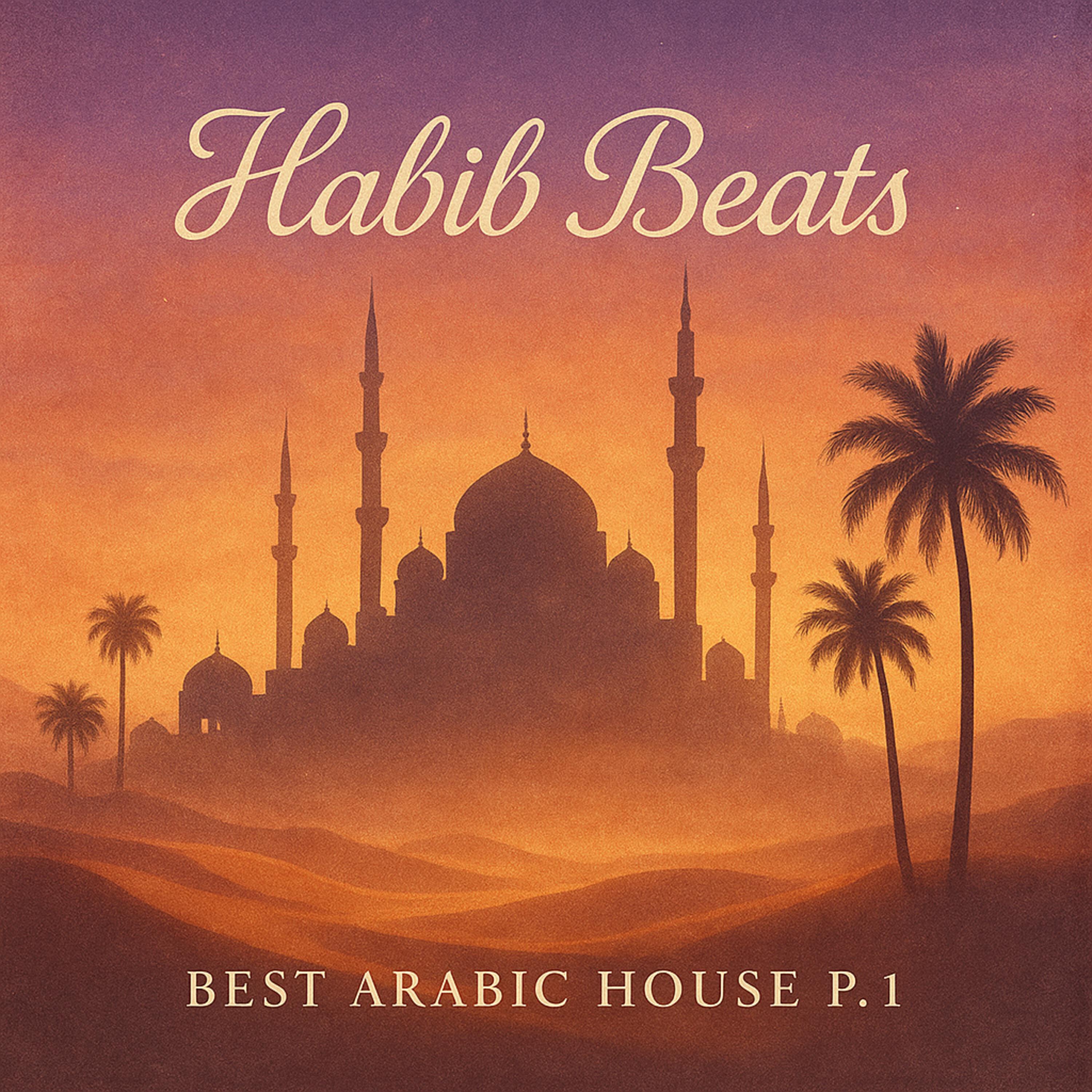 Релиз Best Arabic House, Pt. 1