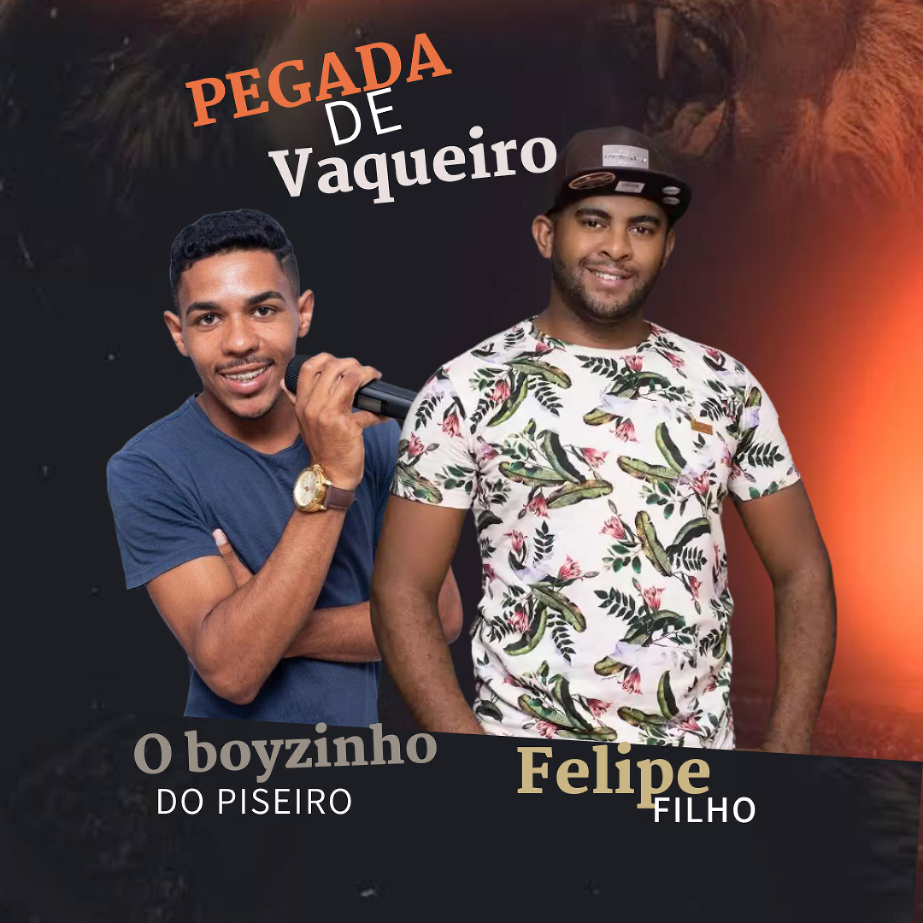 O boyzinho do piseiro