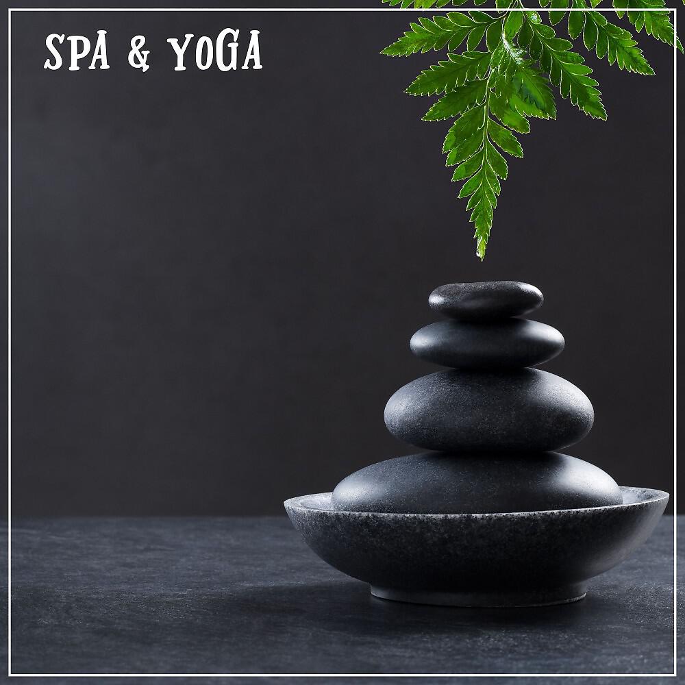 Релиз Spa & Yoga