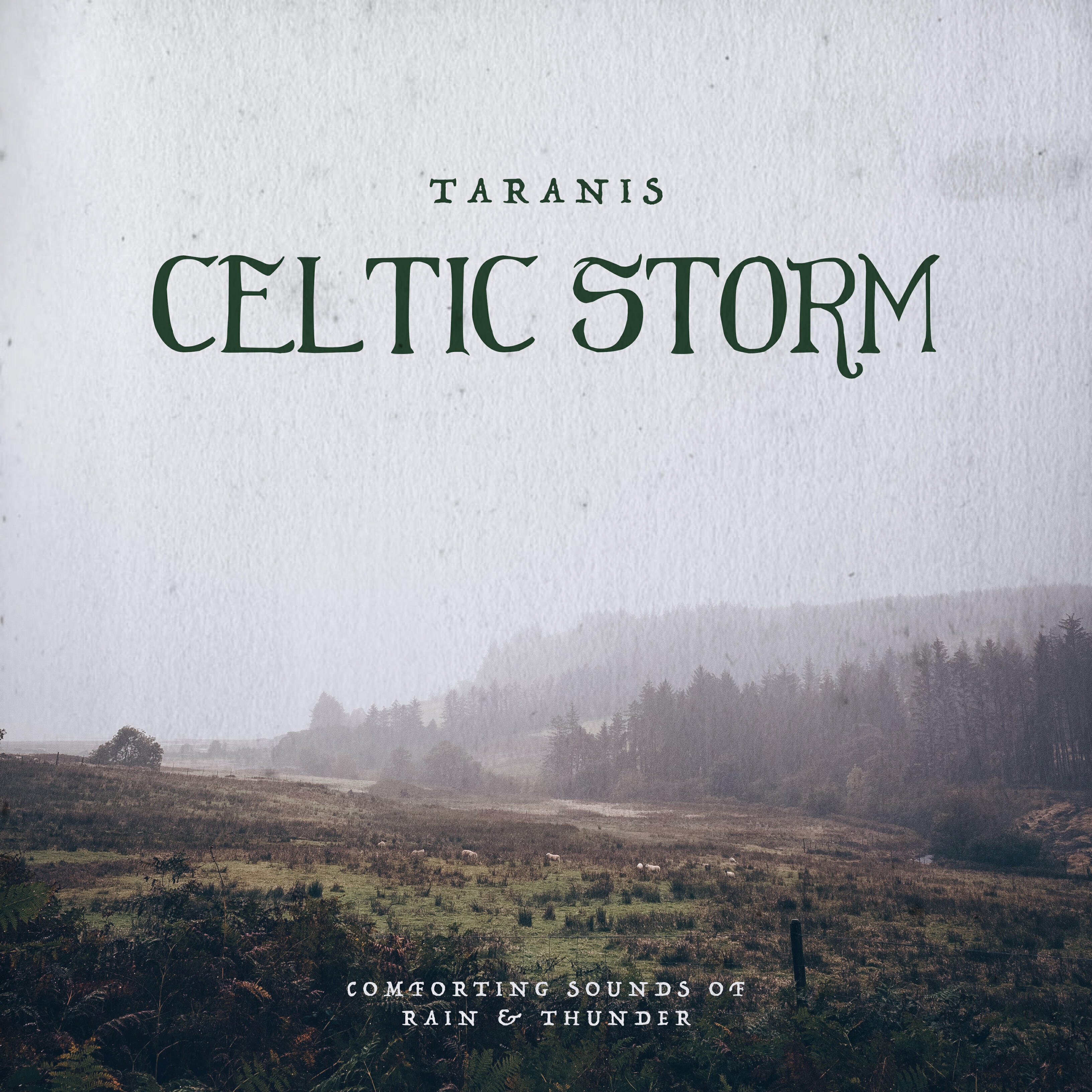 Релиз Celtic Storm